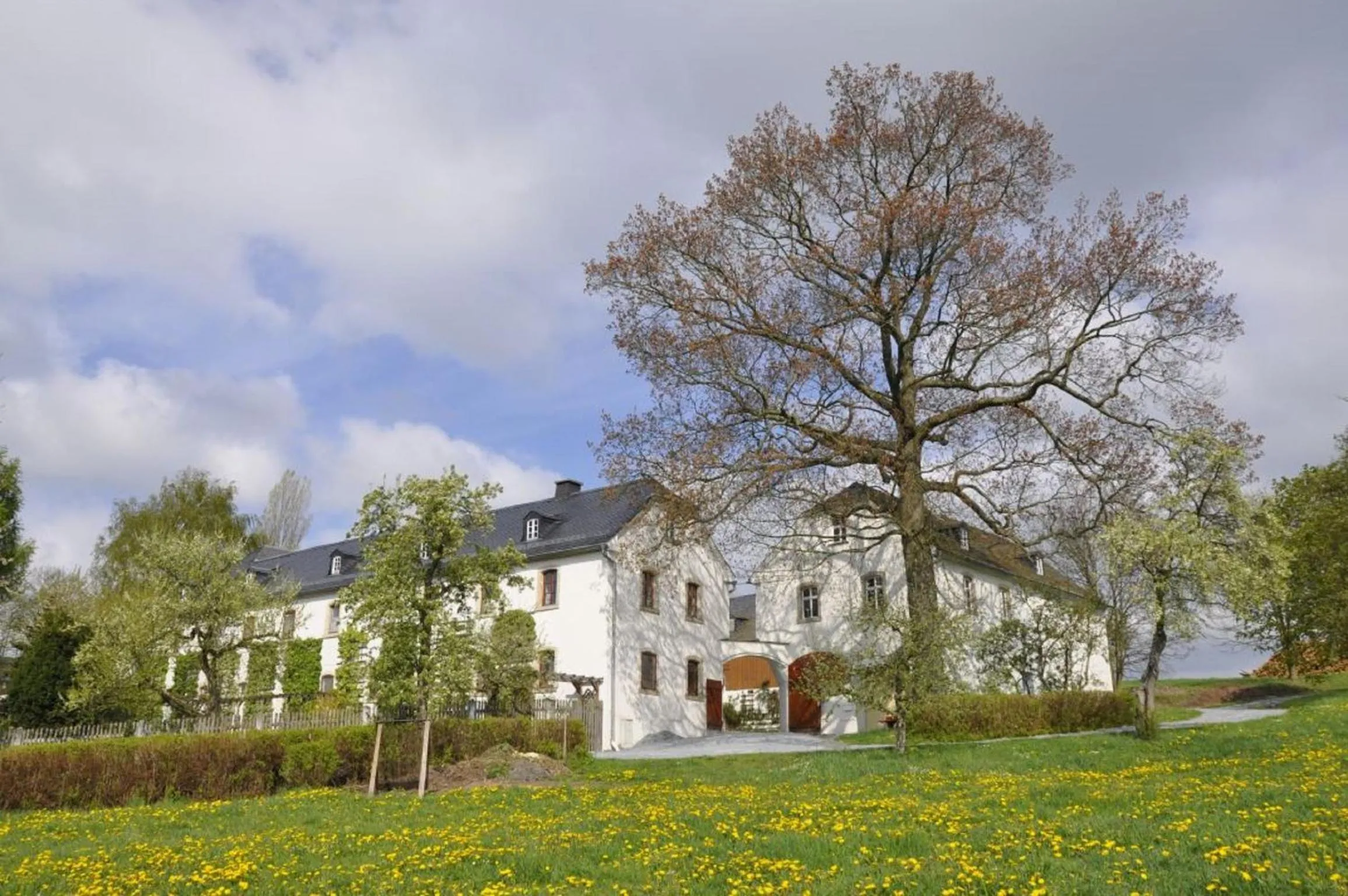 Apartment - Ground Floor in Landhausgarten Bunzmann