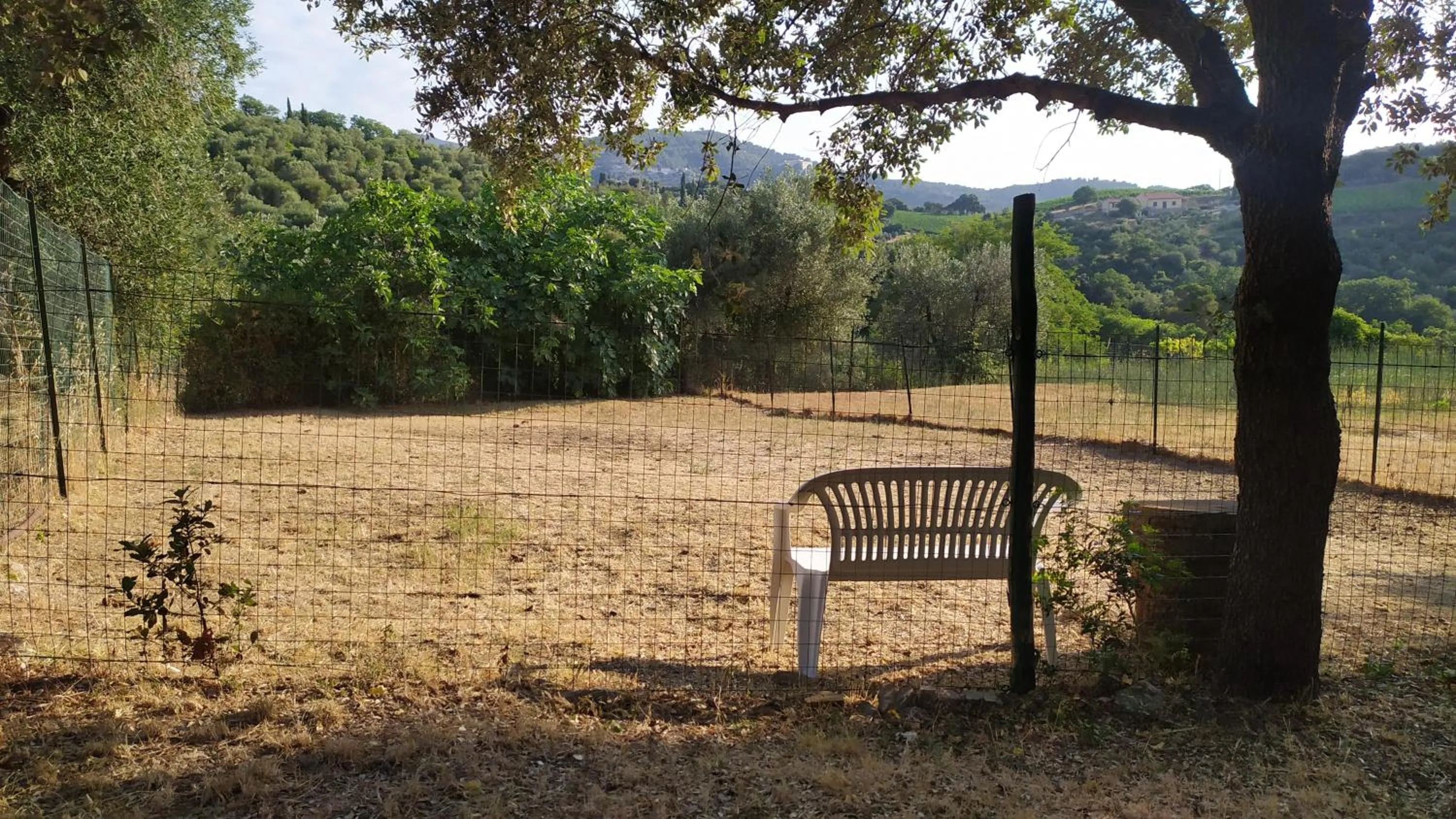 Garden in Dolce Vita