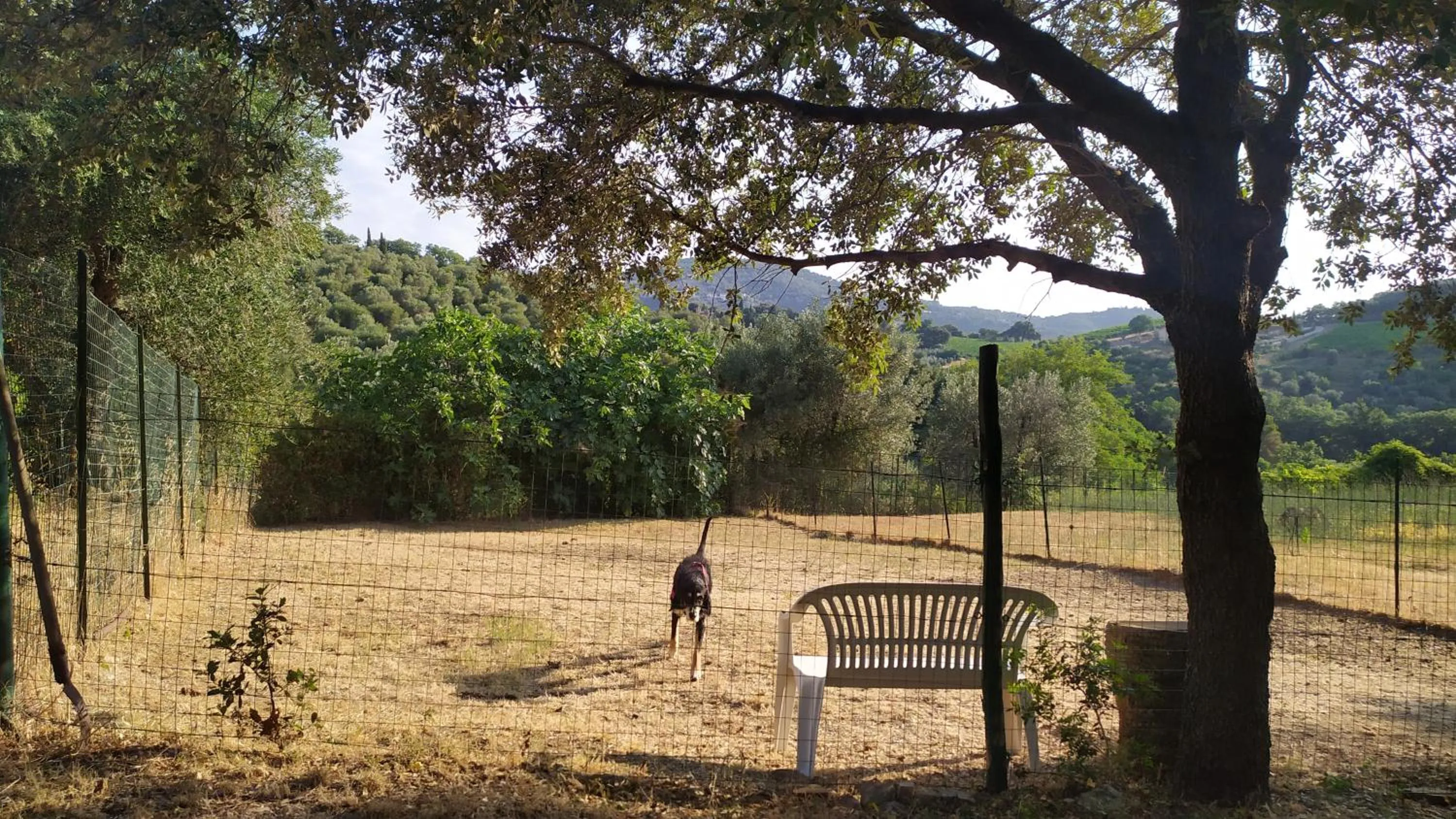 Garden in Dolce Vita