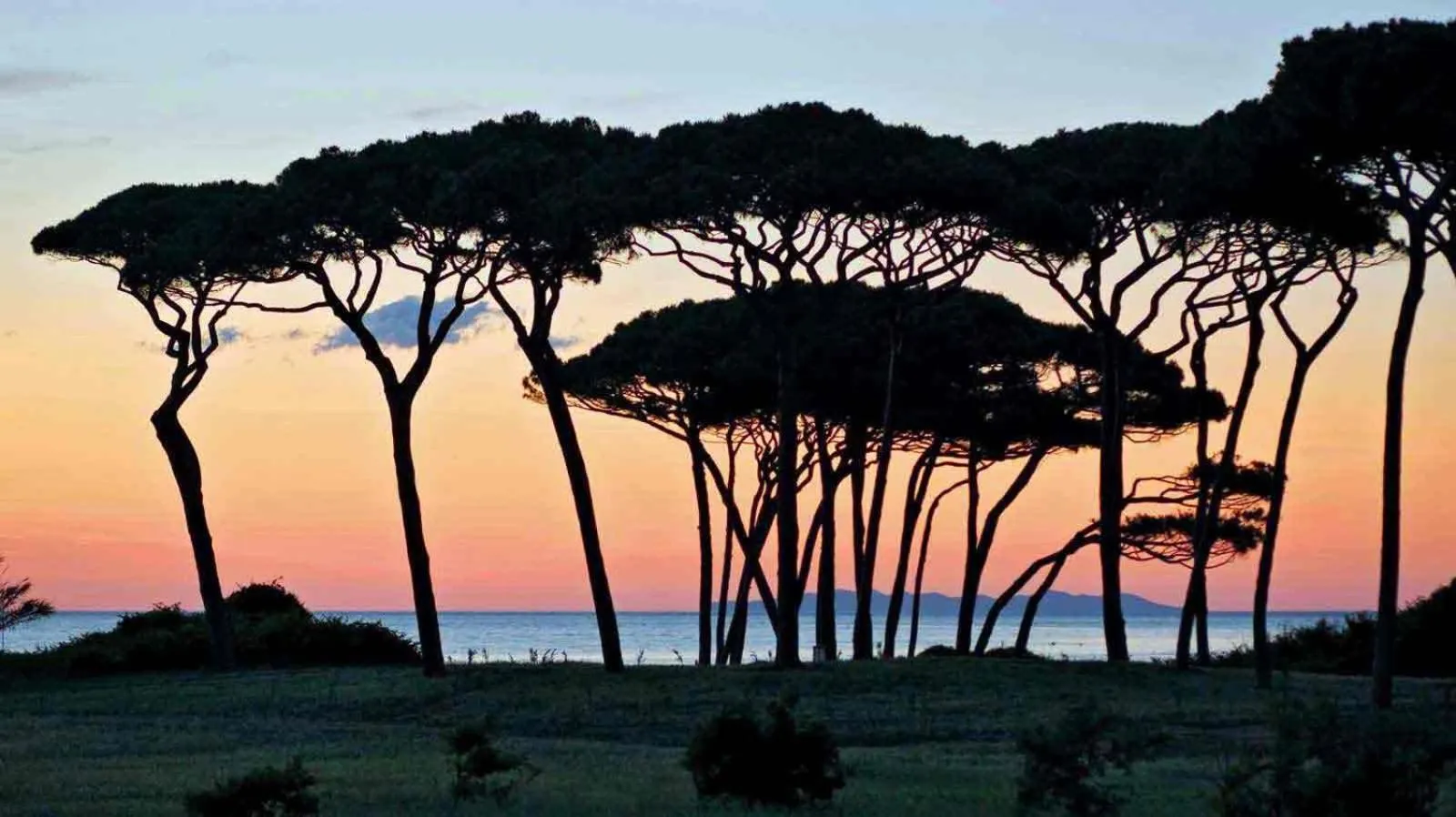 Natural landscape in Dolce Vita