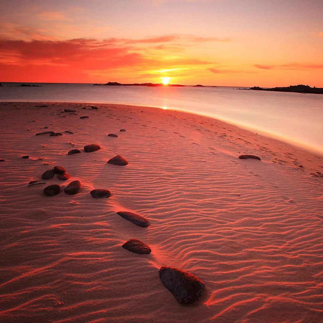 Natural landscape in L'Alivi di l'Osari