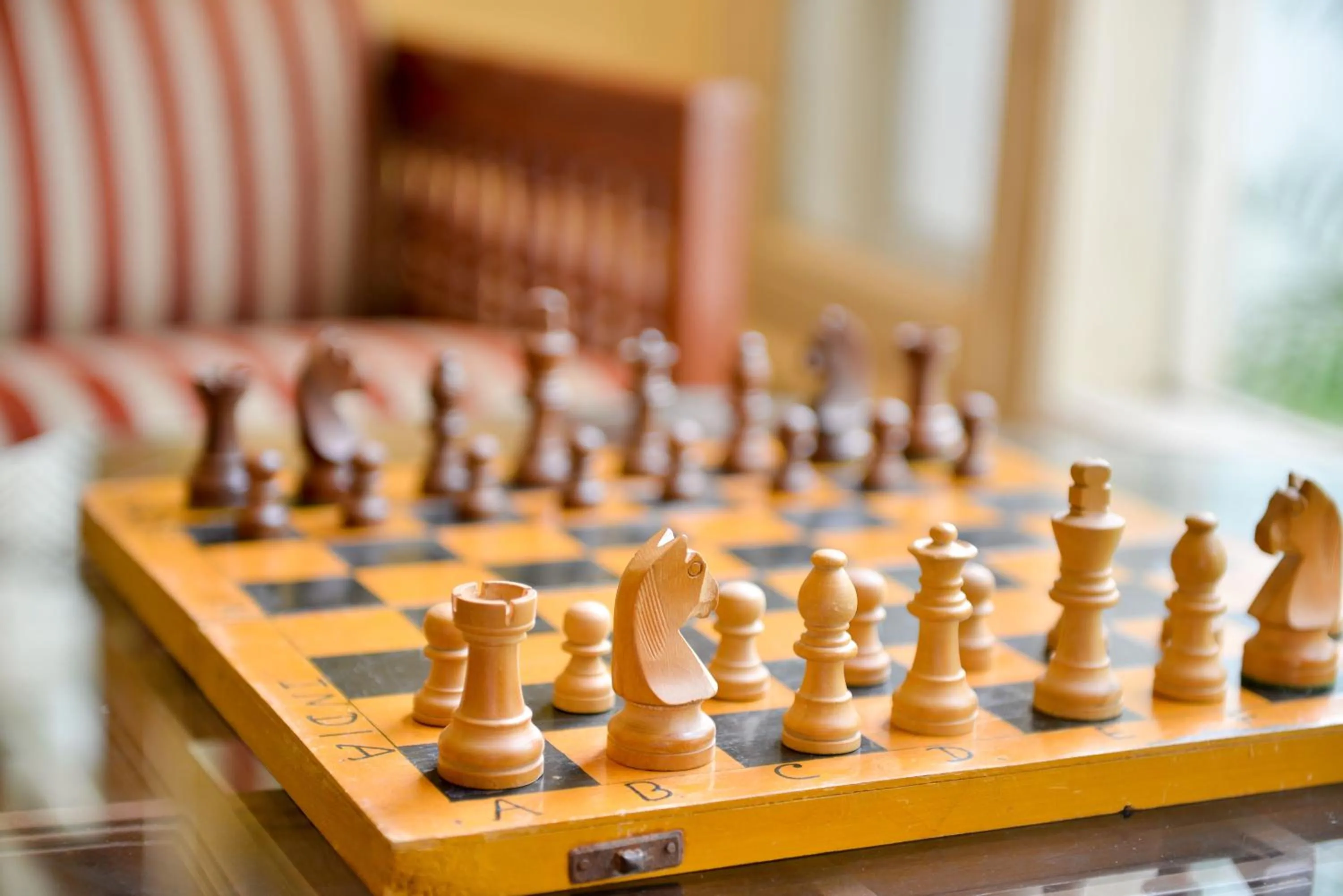 Game Room in Gir Serai - IHCL SeleQtions