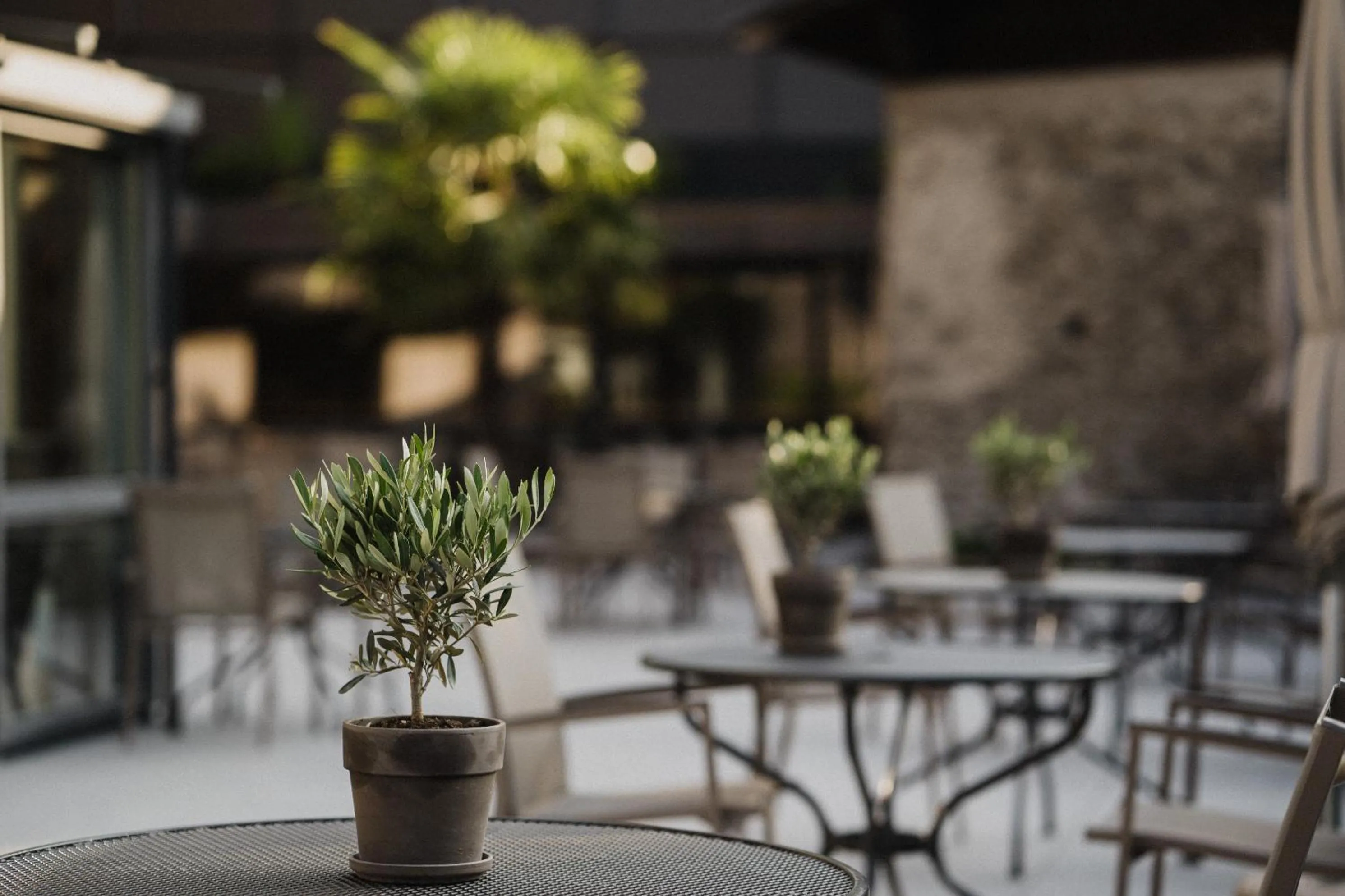 Restaurant/places to eat in Hotel Das Stachelburg