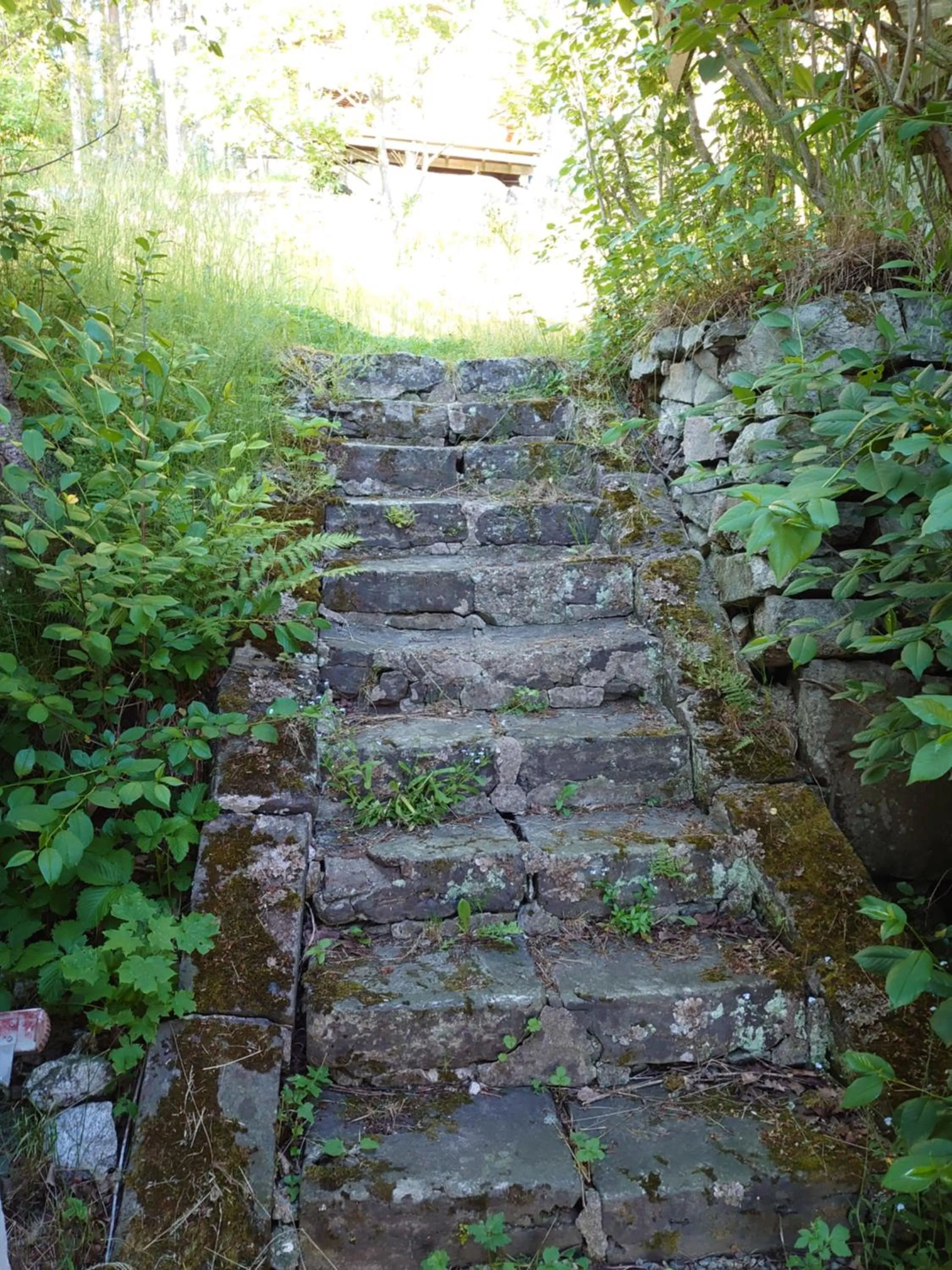 Garden in Vandrarhemmet Tallbacka/Ängelsberg Hostel