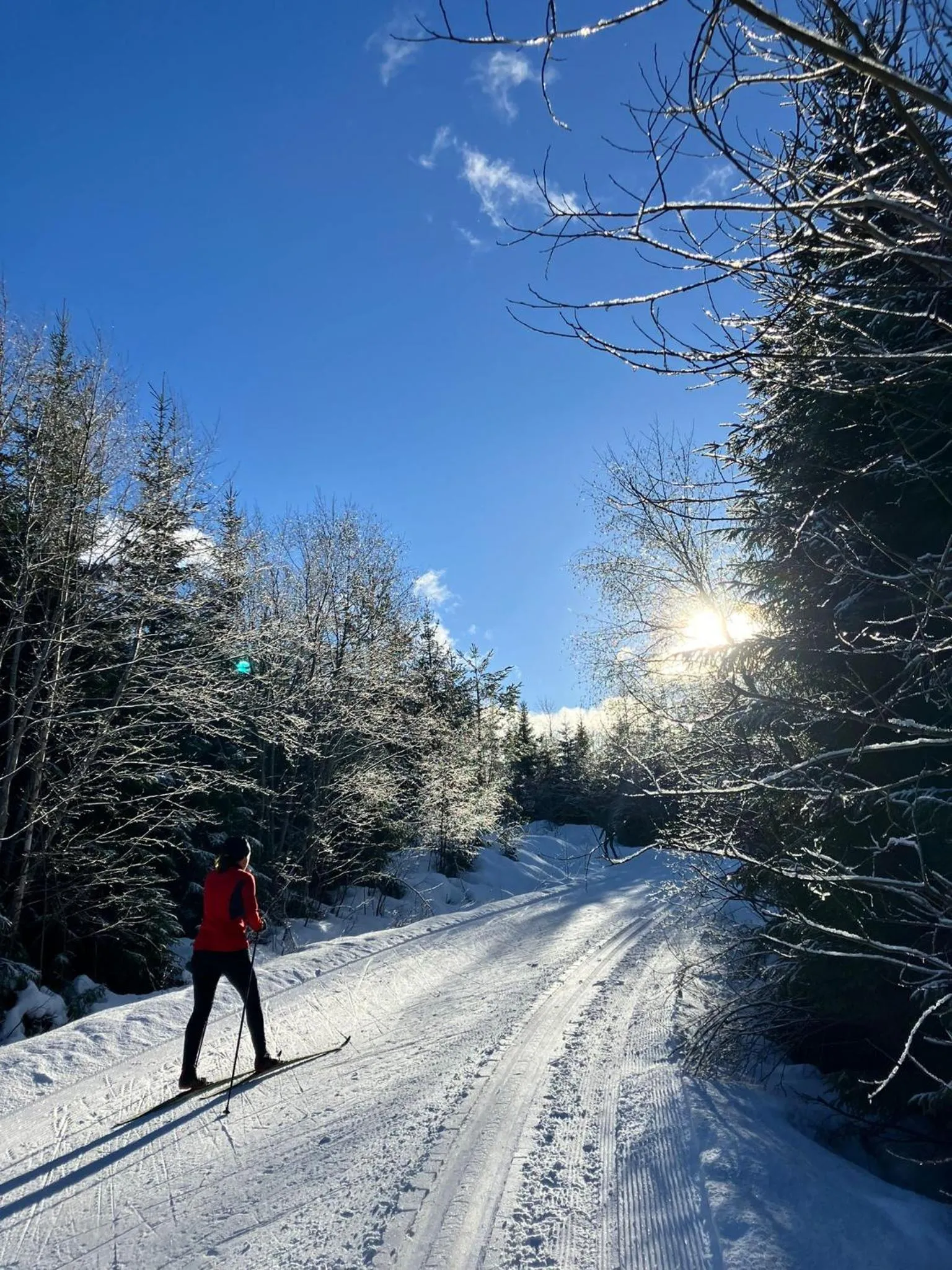 Winter in Vandrarhemmet Tallbacka/Ängelsberg Hostel