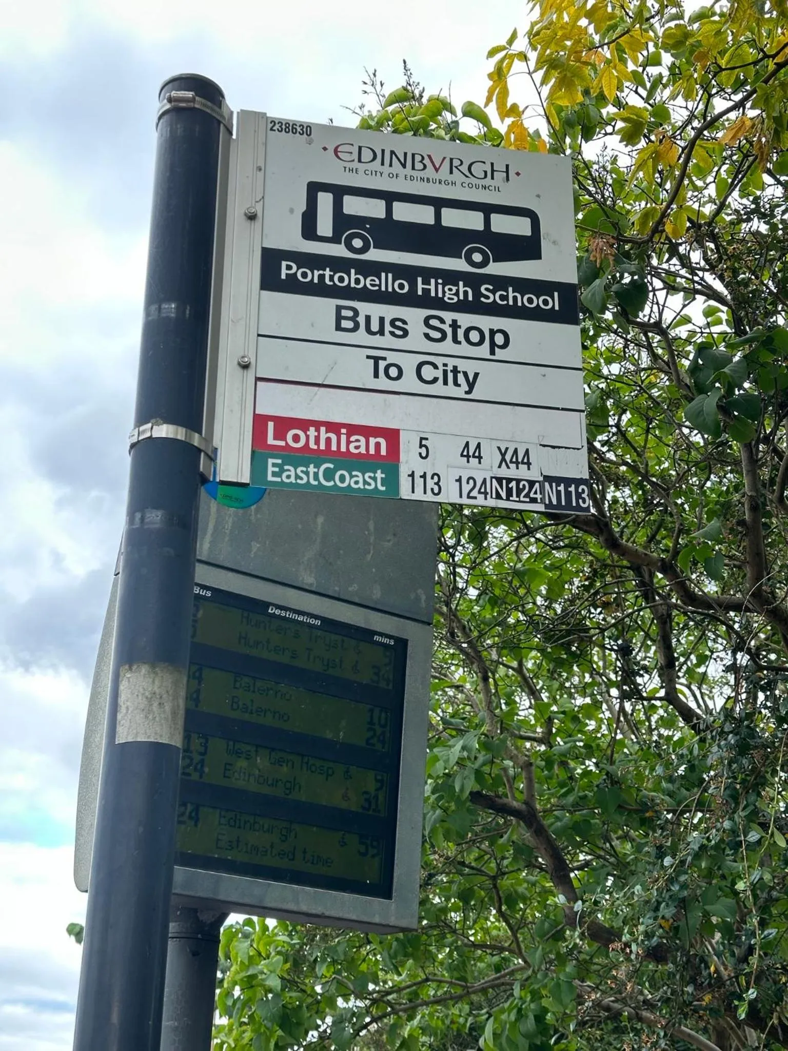 Aynetree Guest House