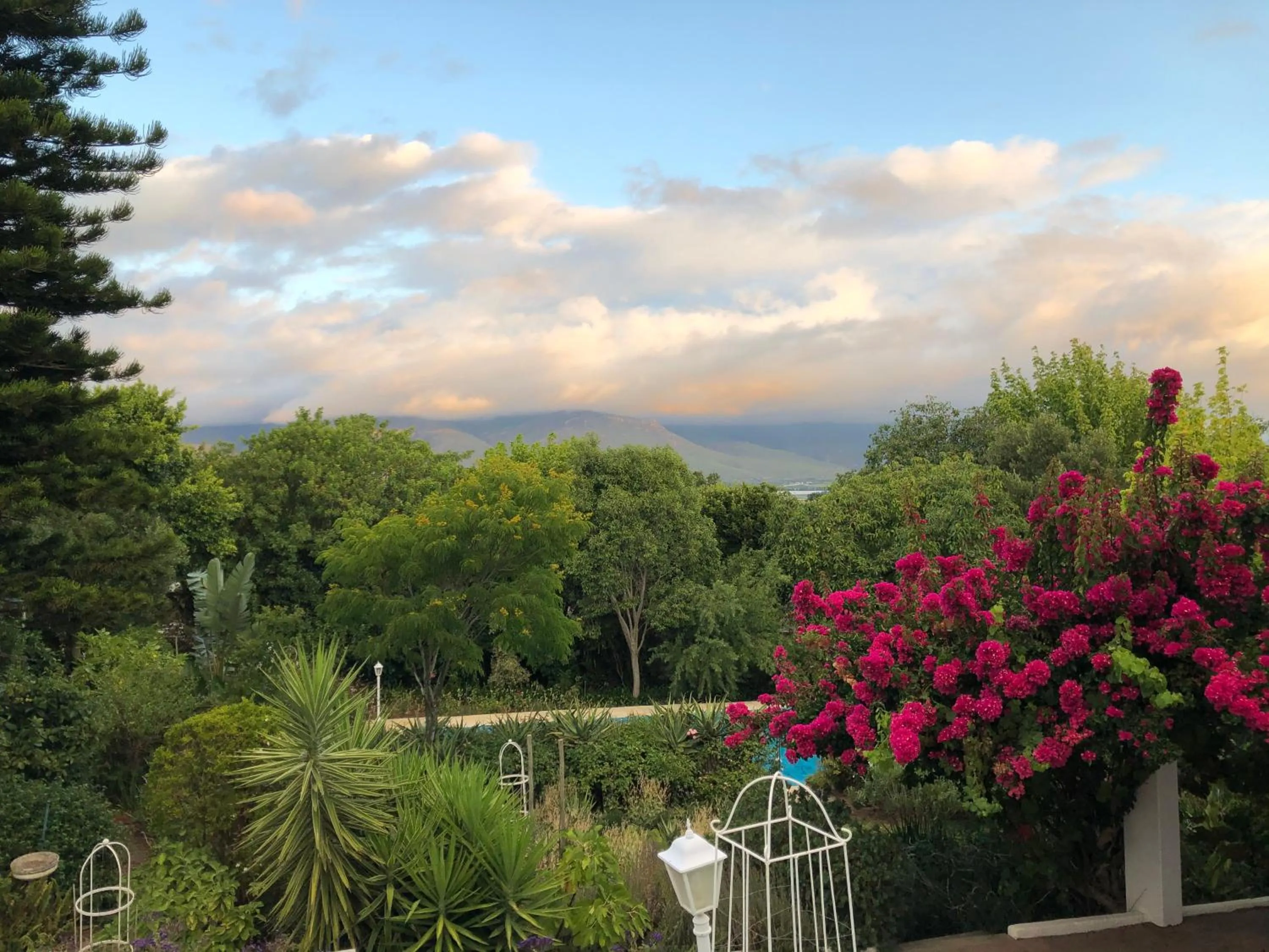 Natural landscape in Alba House Guest House