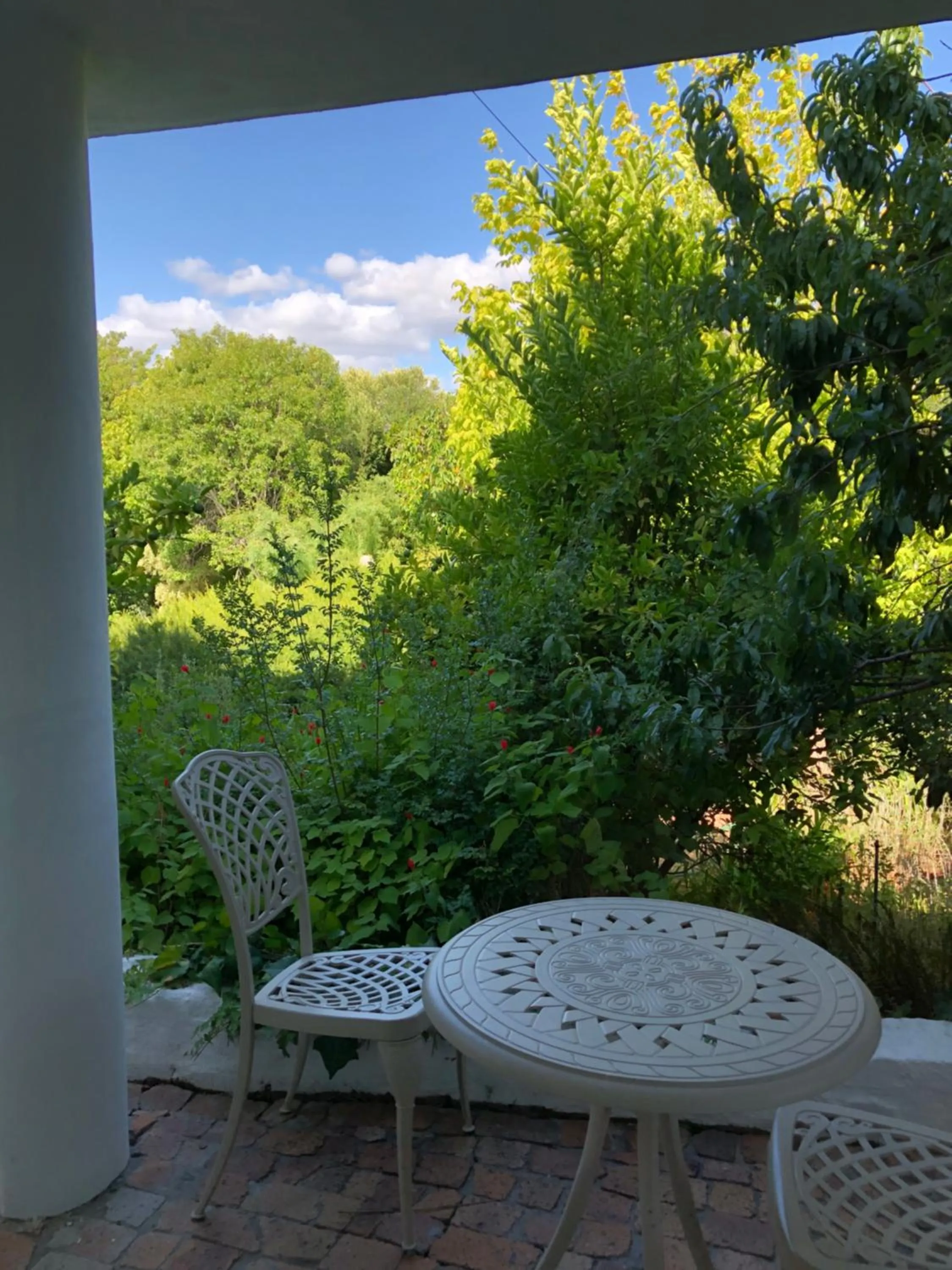 Patio in Alba House Guest House