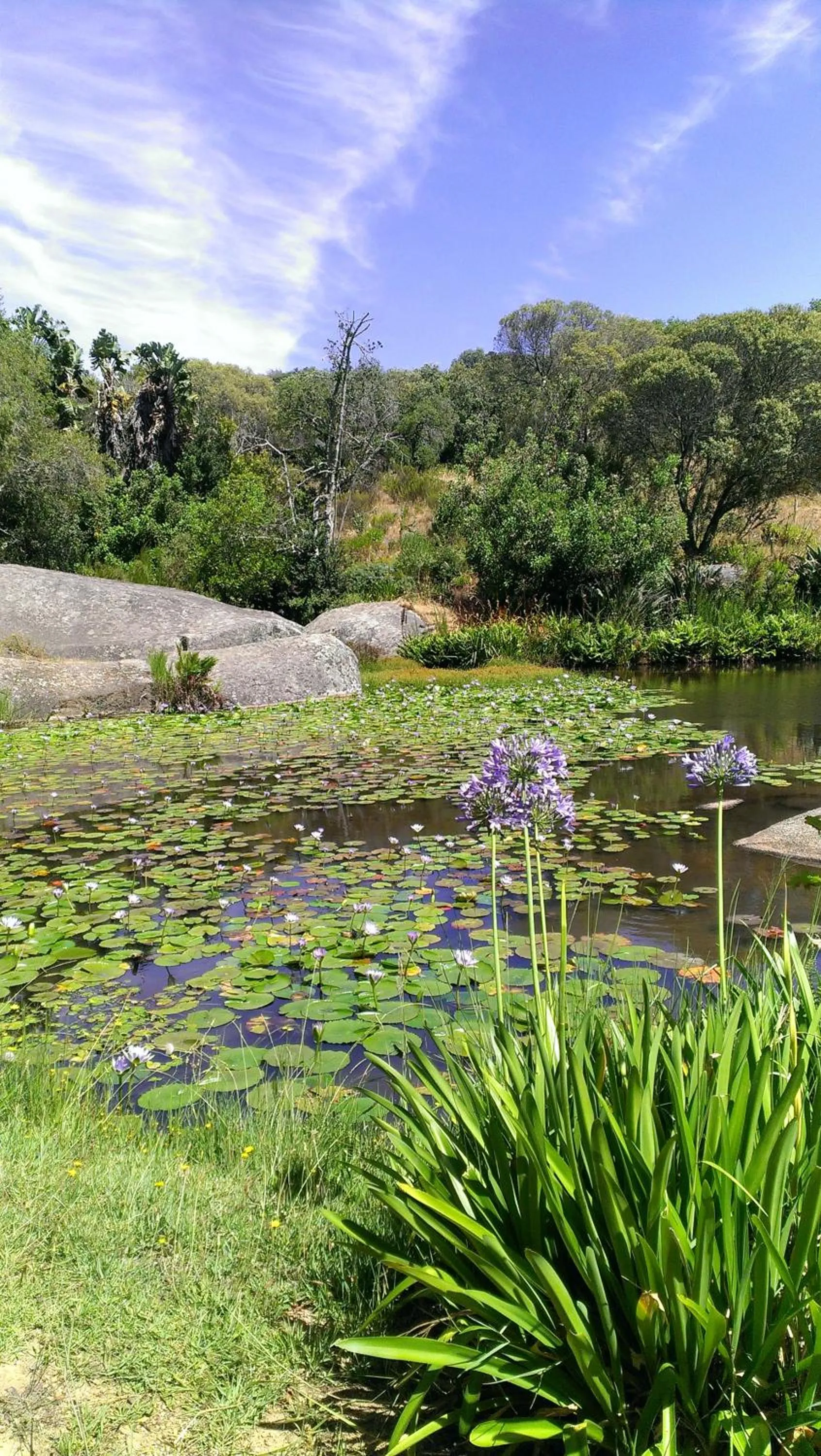 Mountain view in Alba House Guest House