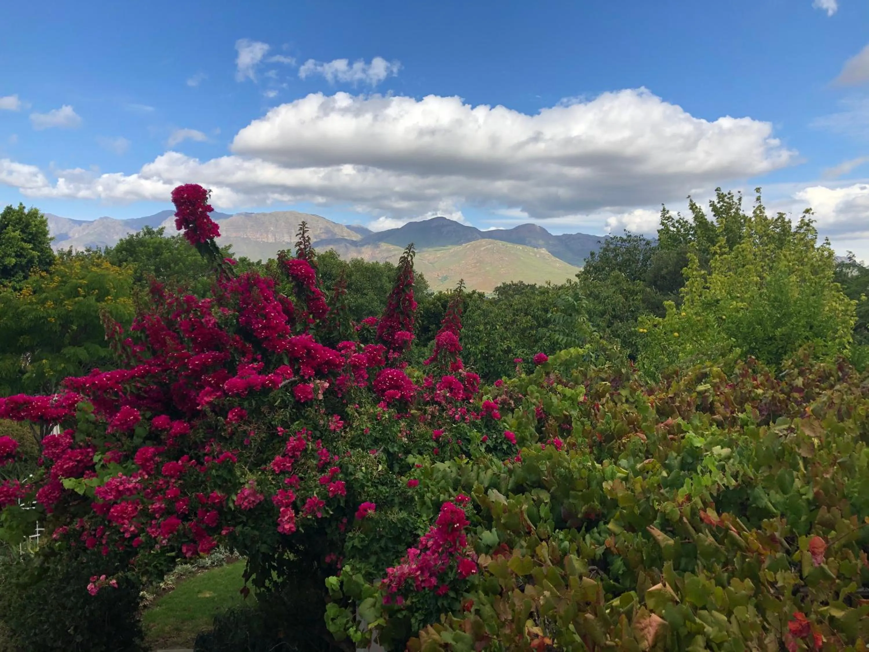 Day in Alba House Guest House