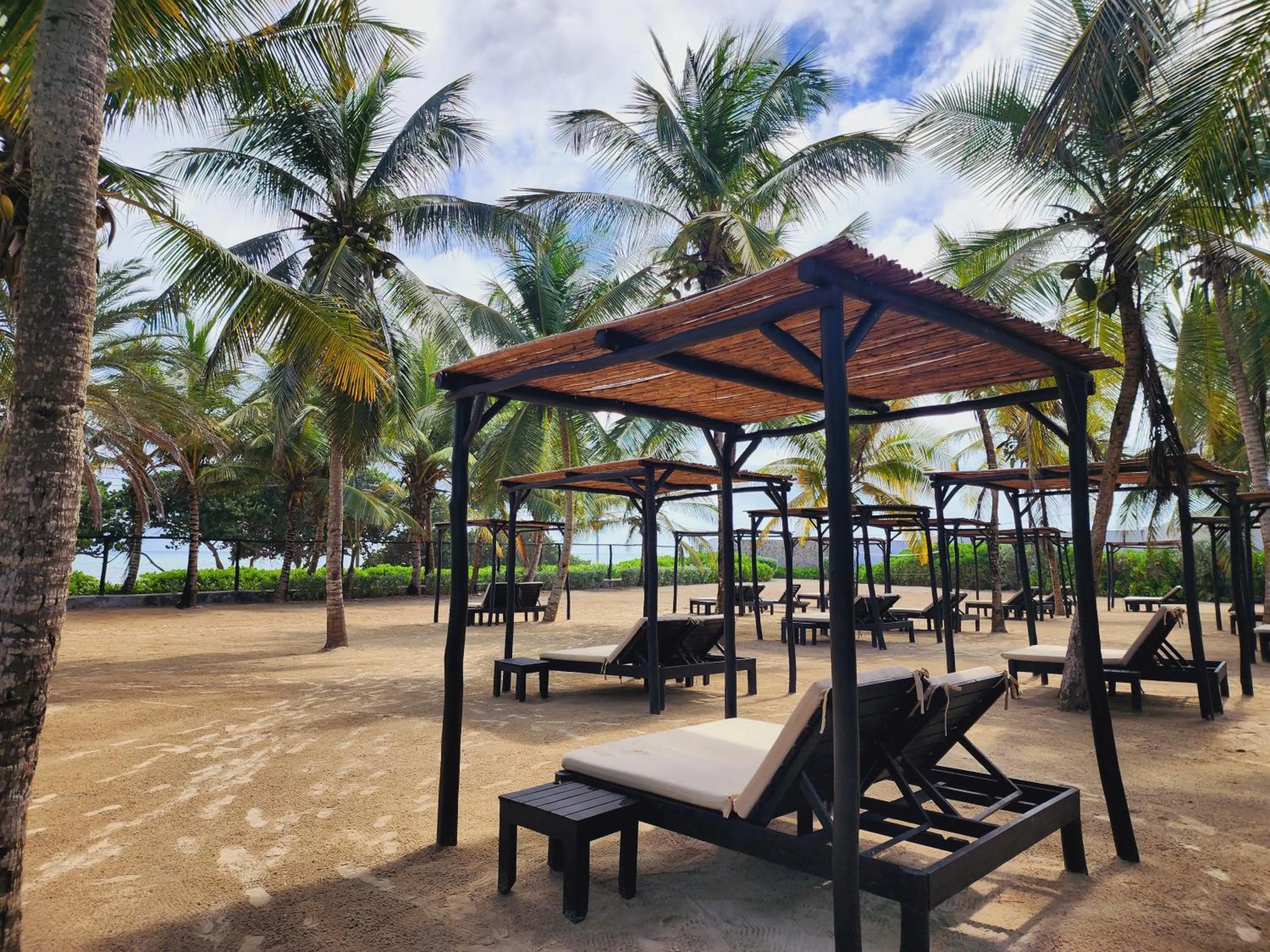 Garden in Sunsol Isla Caribe