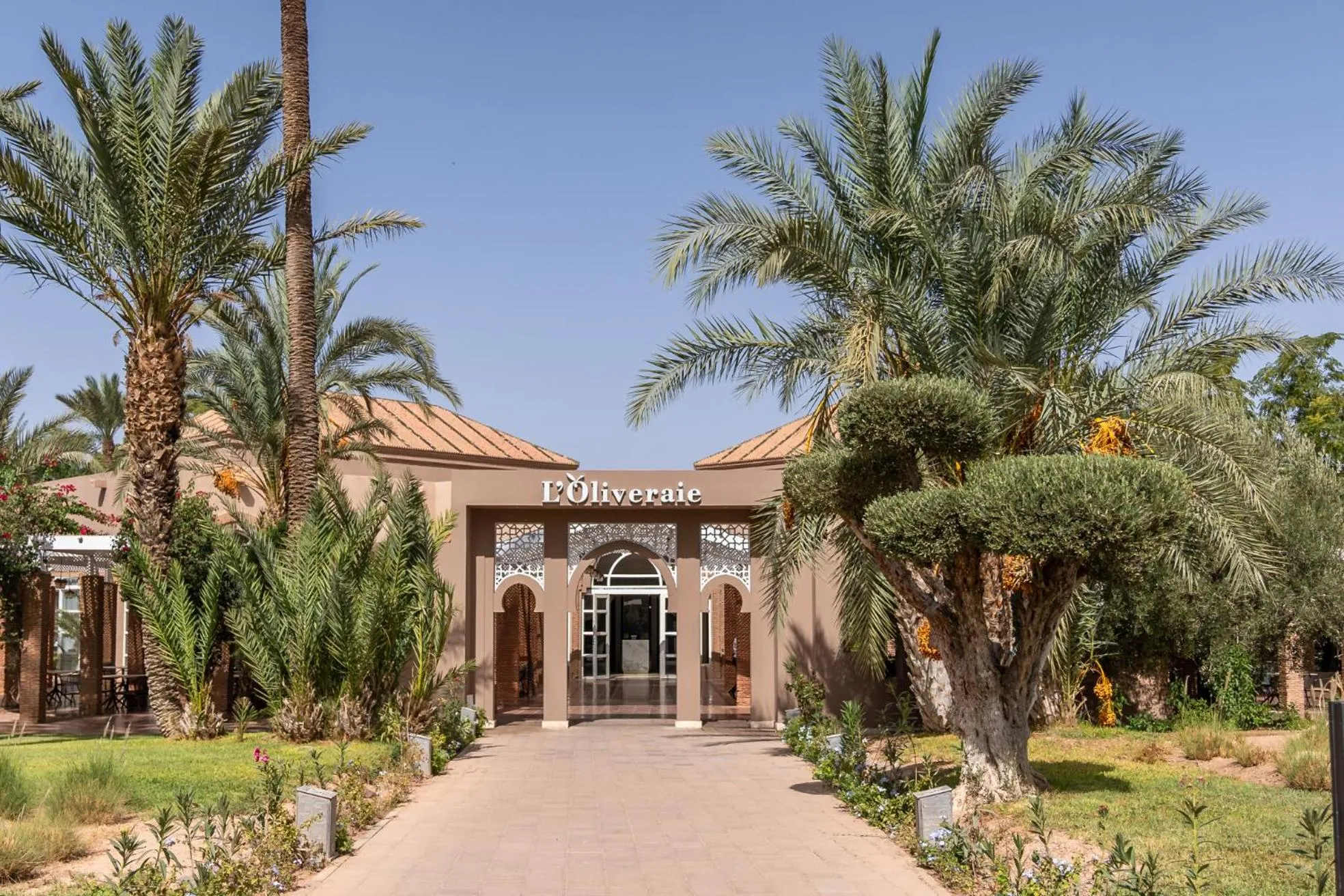 Restaurant/places to eat in Barceló Palmeraie Oasis Resort