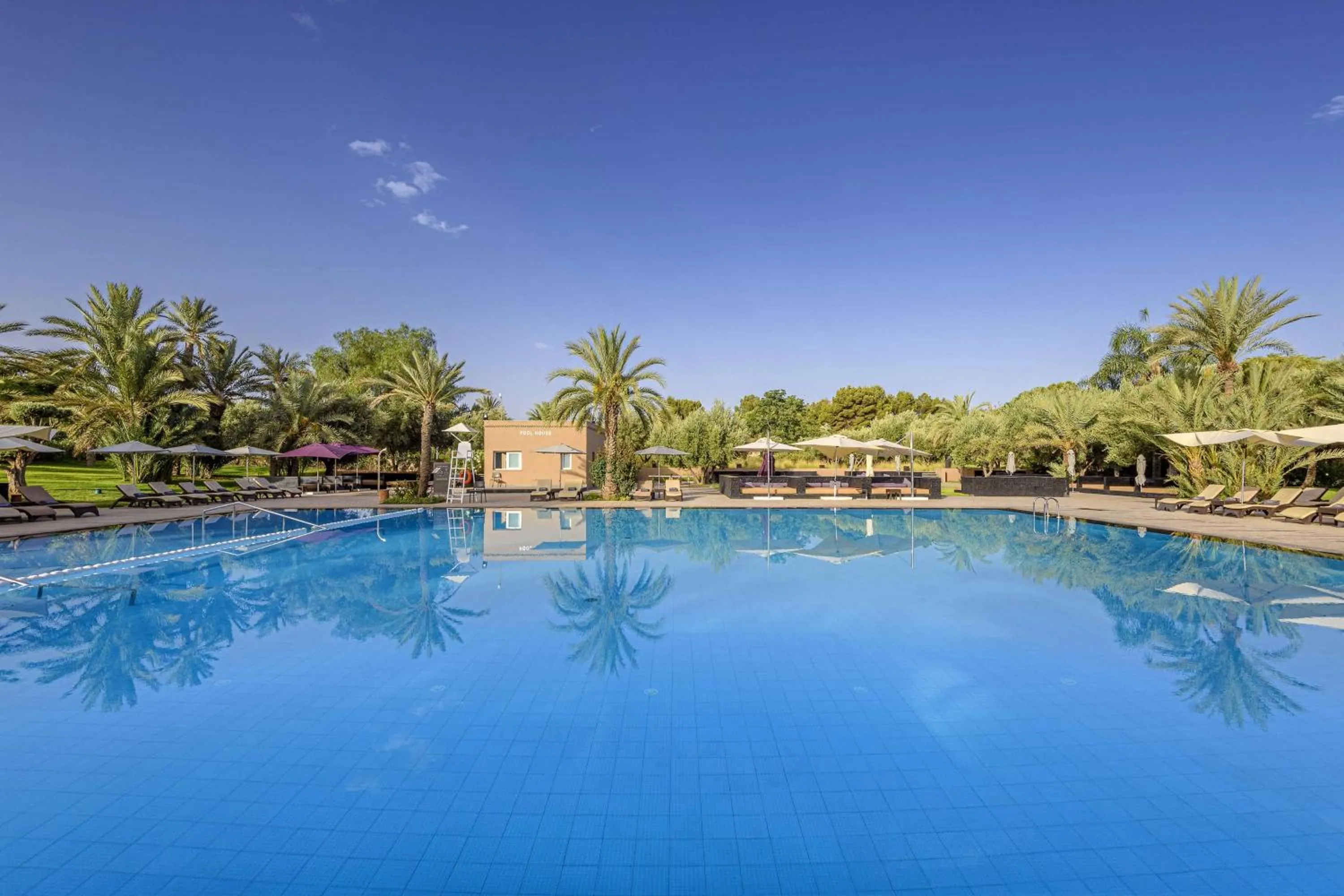 Pool view in Barceló Palmeraie Oasis Resort
