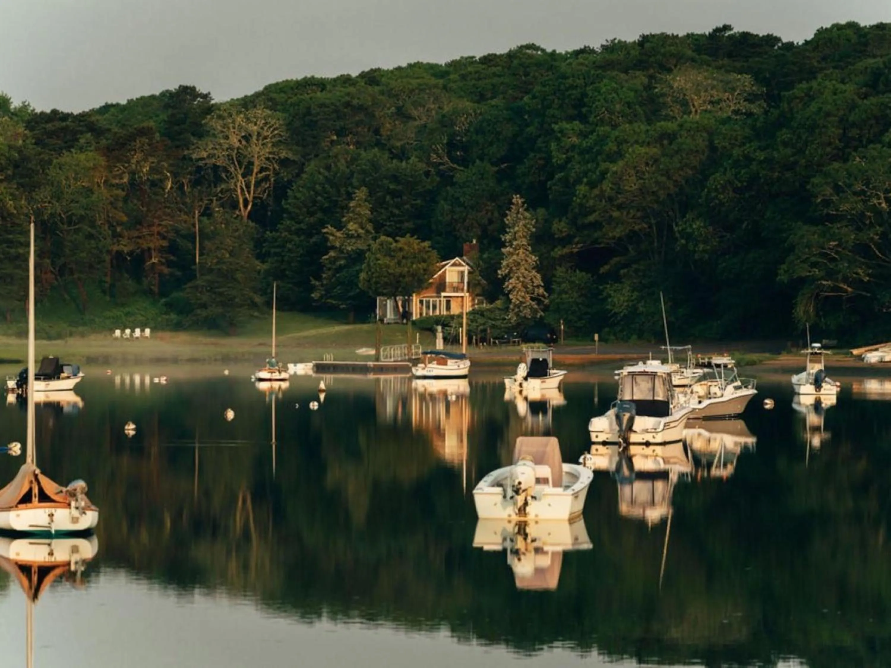 Natural landscape in Wequassett Resort and Golf Club