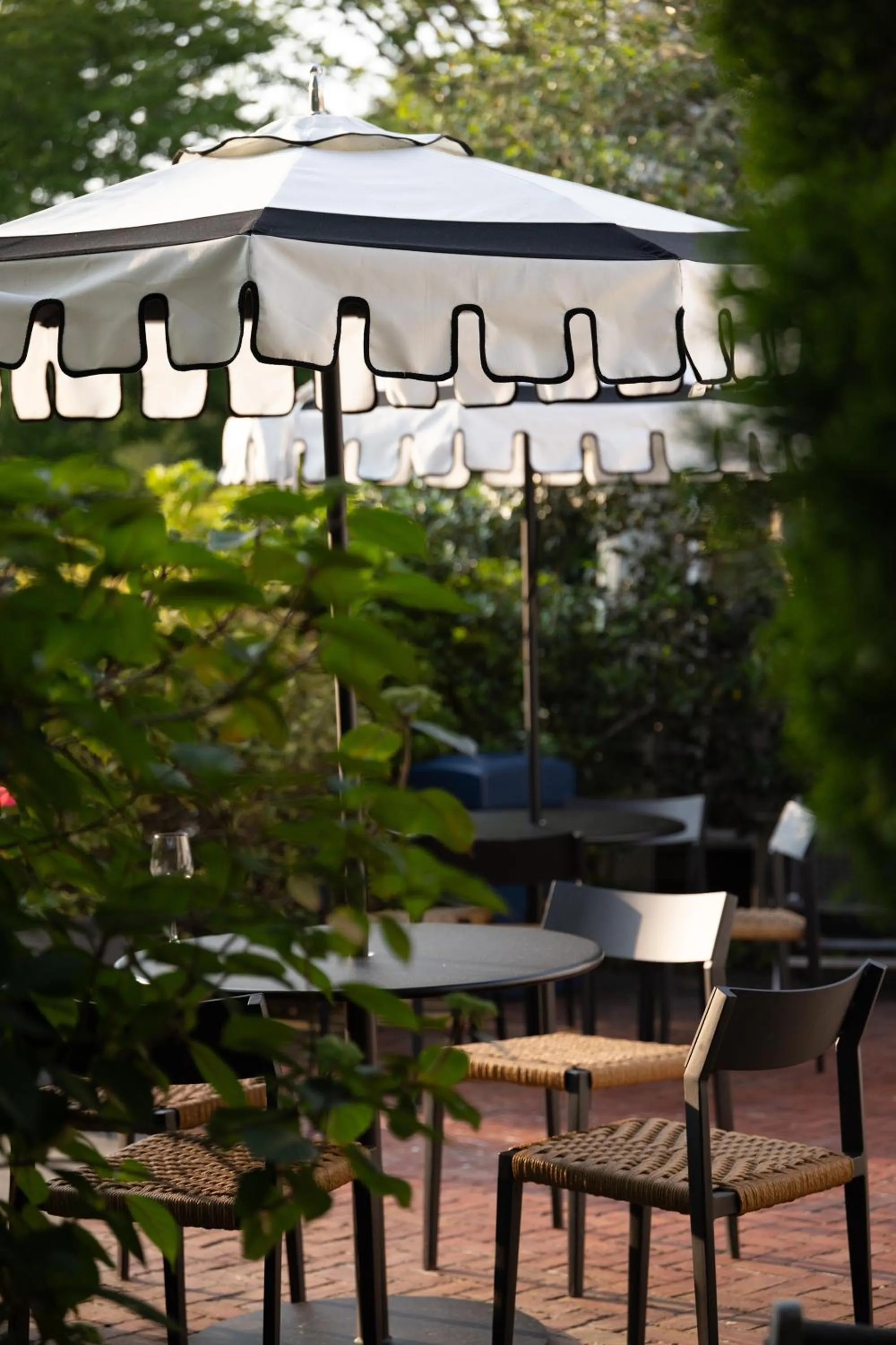 Dining area in Wequassett Resort and Golf Club