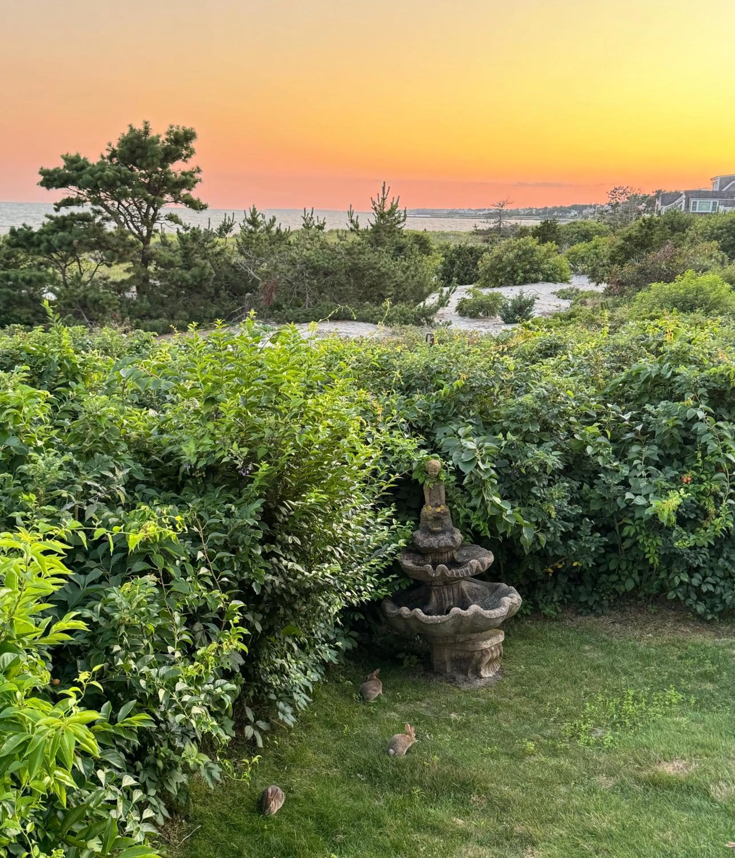 Garden view in Winstead Beach Resort