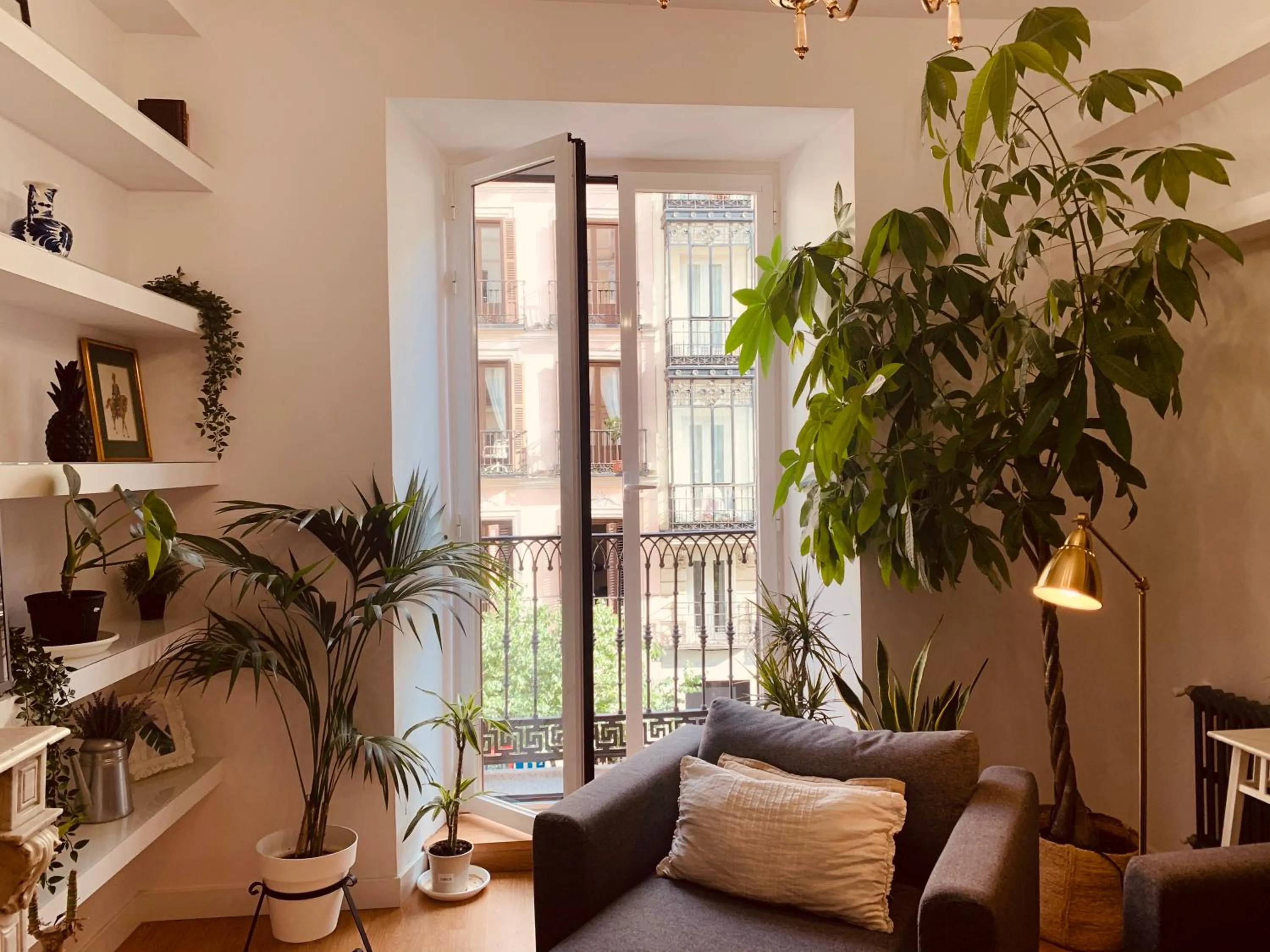 Other in Hostal Patria Madrid