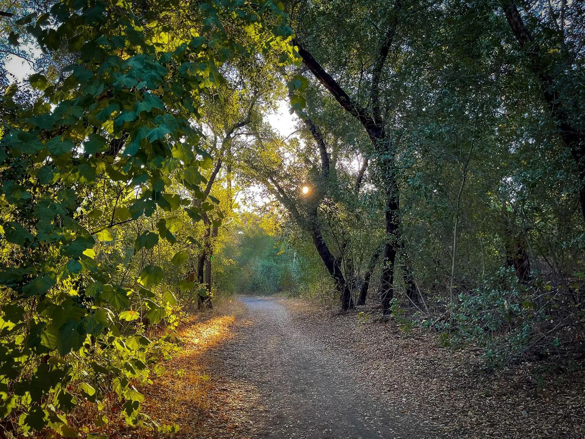 San Vicente Golf Resort