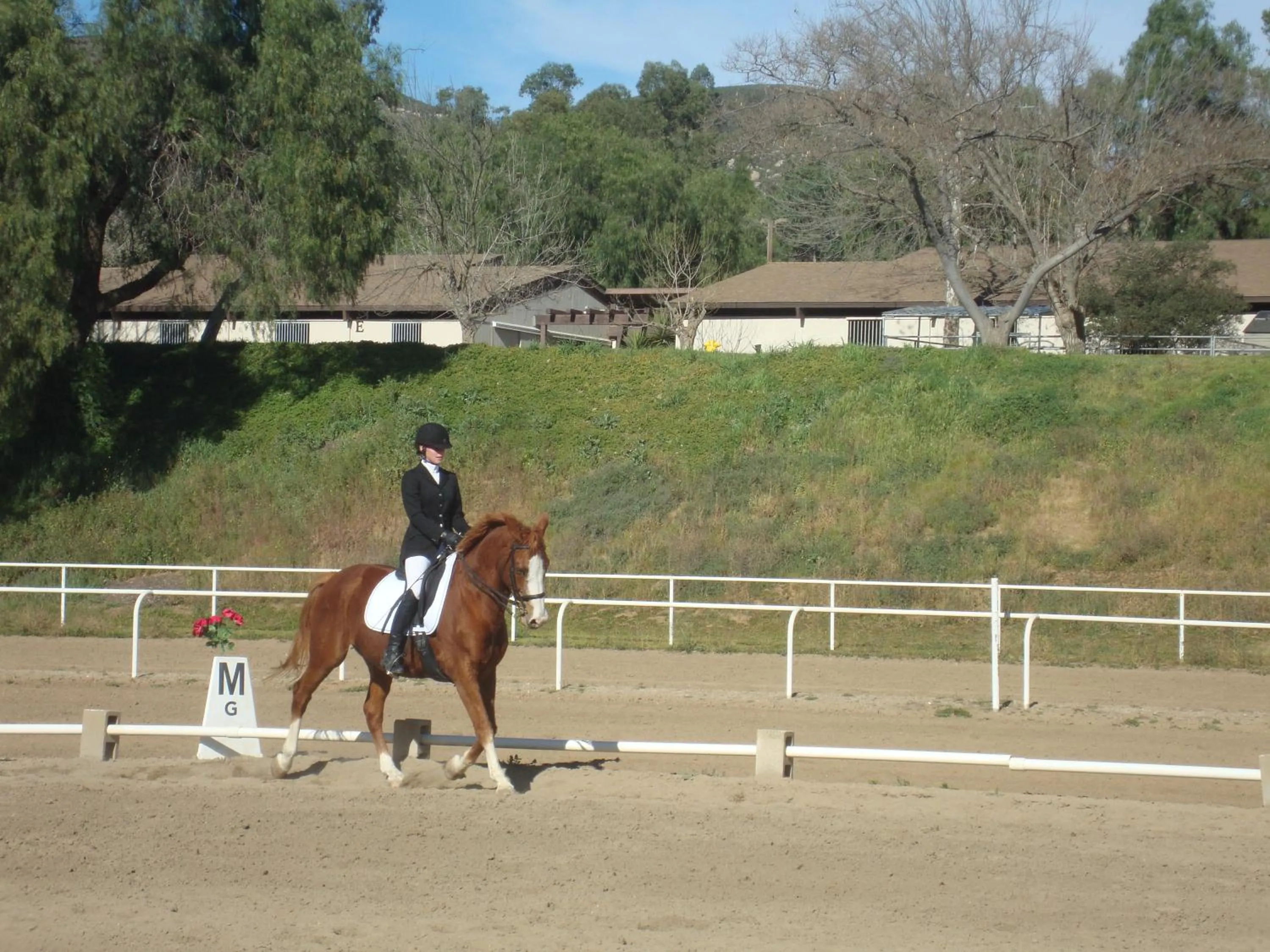 Horse-riding in San Vicente Golf Resort