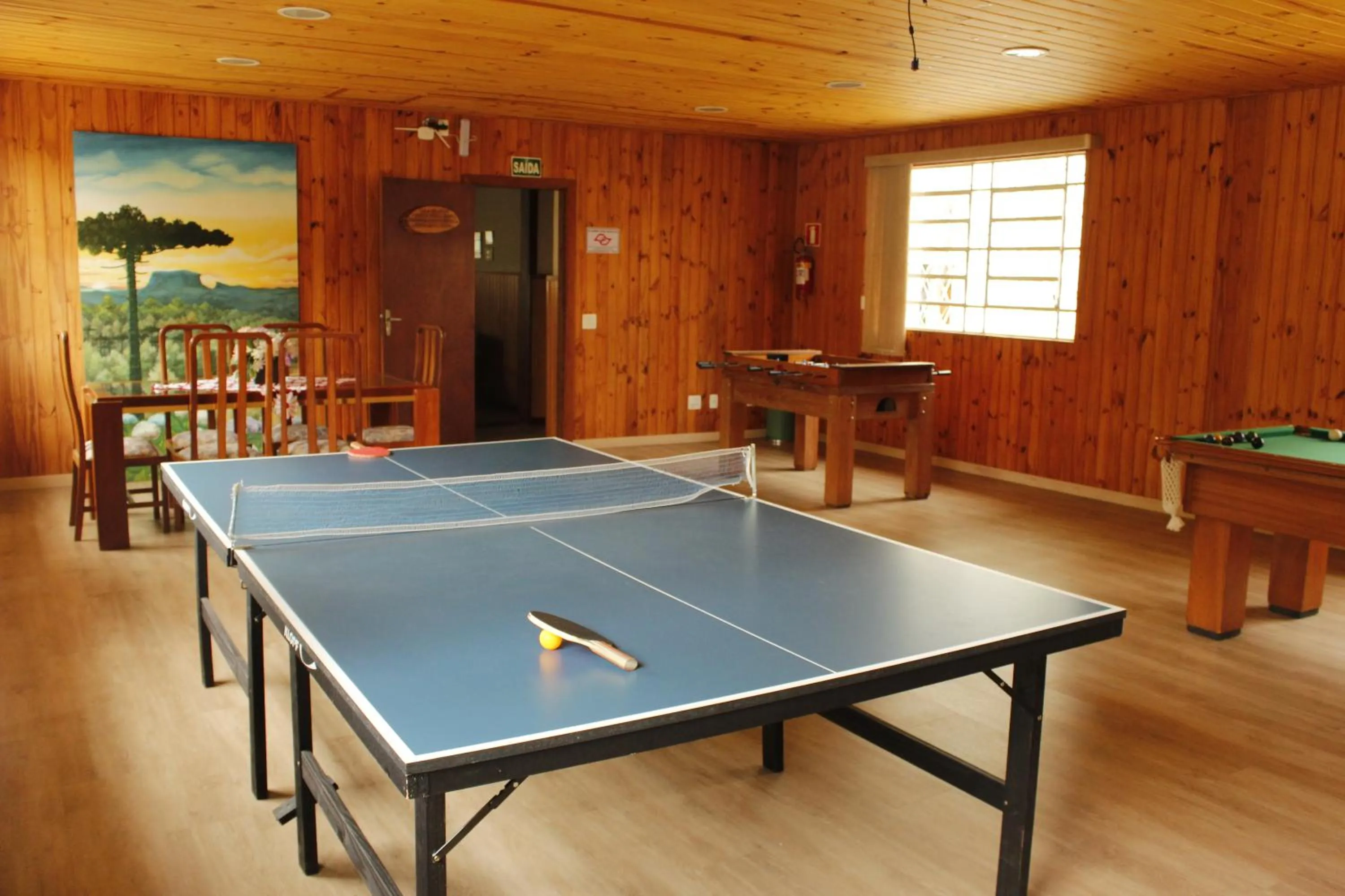 Game Room in Hotel Casa São José