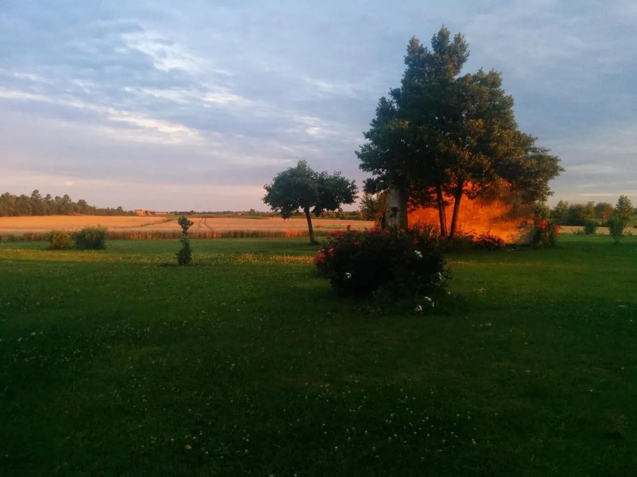 Garden view in Antica Vigna
