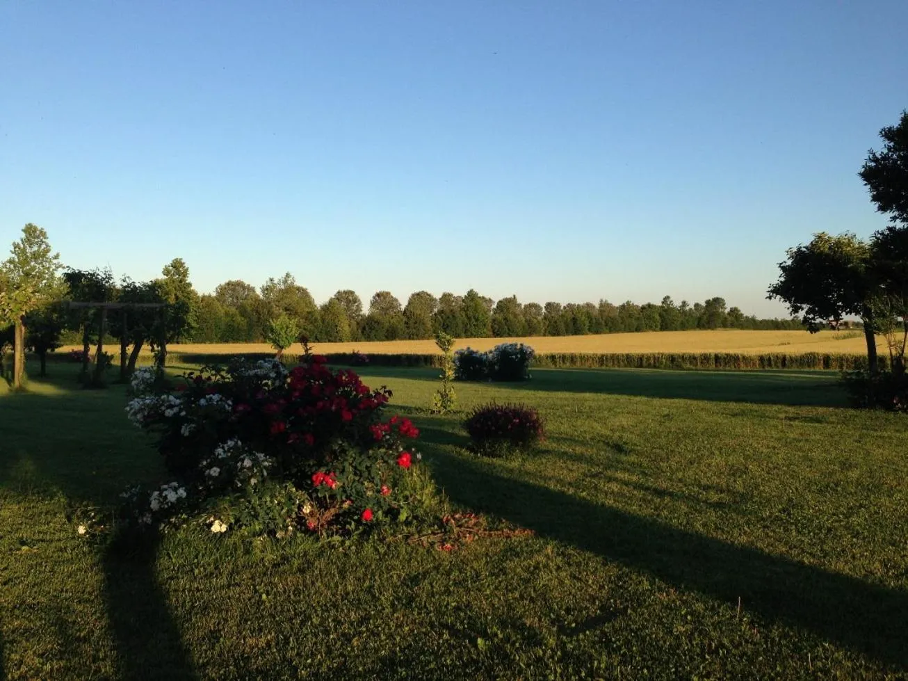 Garden view in Antica Vigna