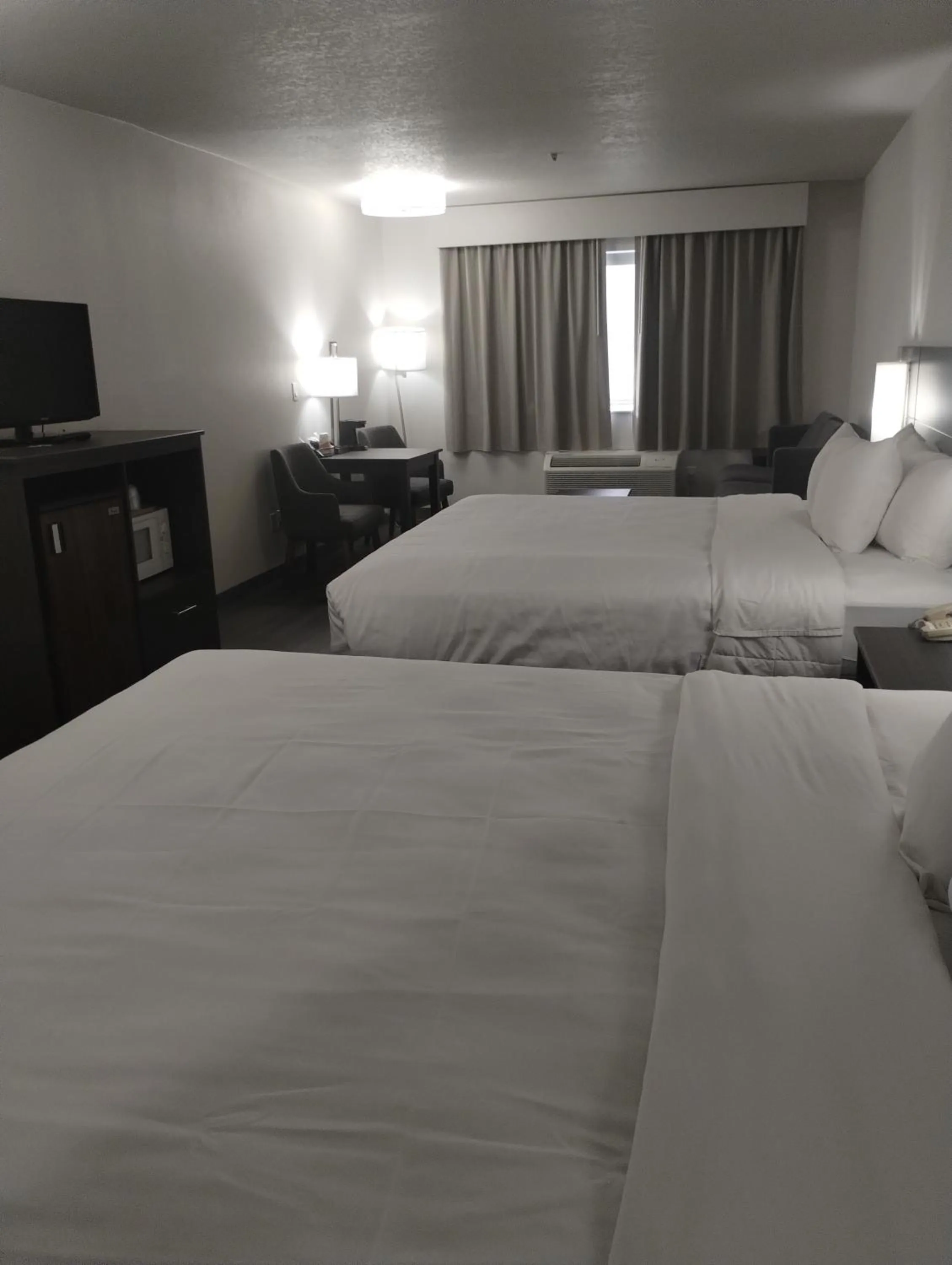 Bed in Quality Inn & Suites Wilsonville