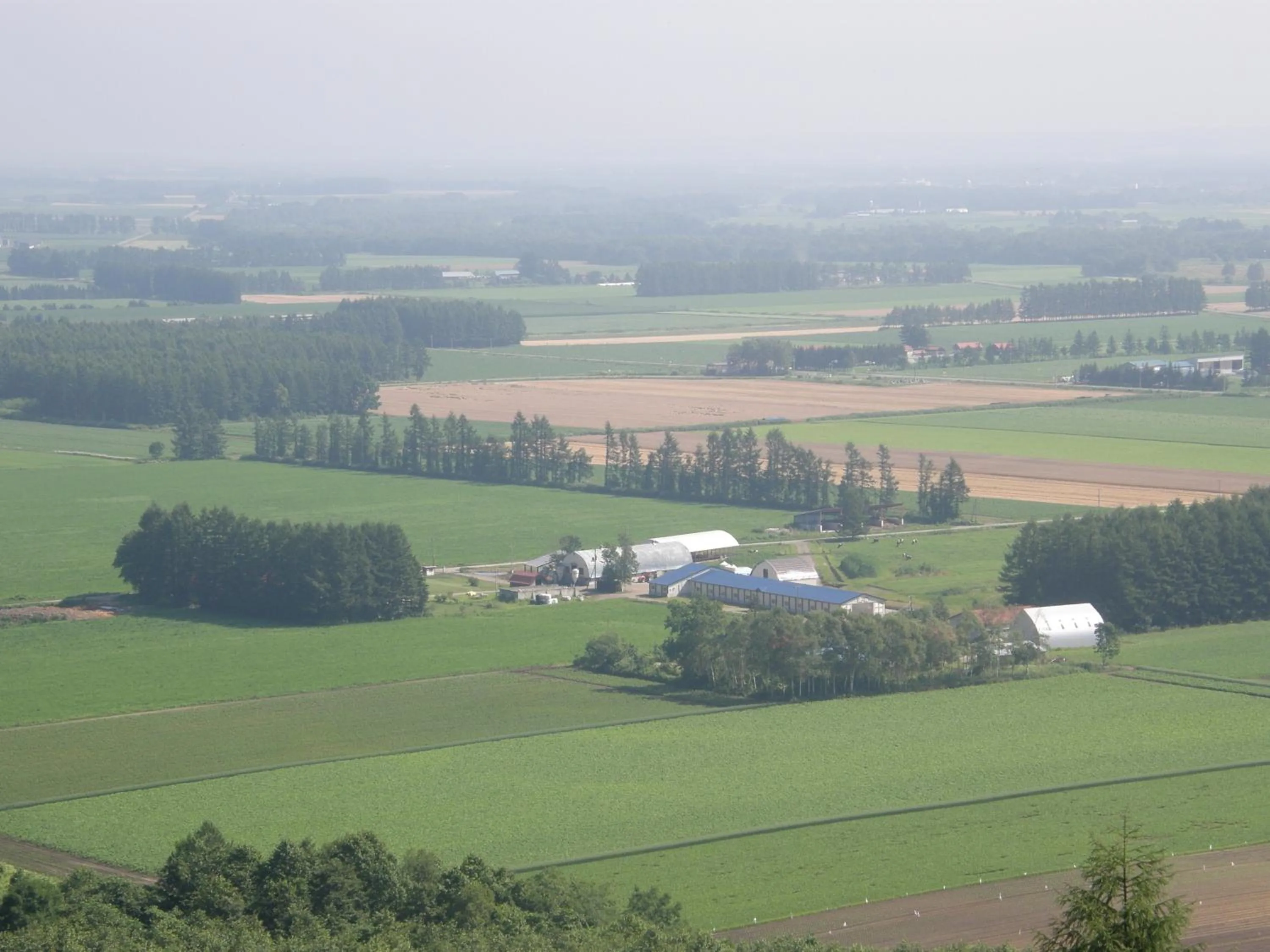 Neighbourhood in Guesthouse Canterbury