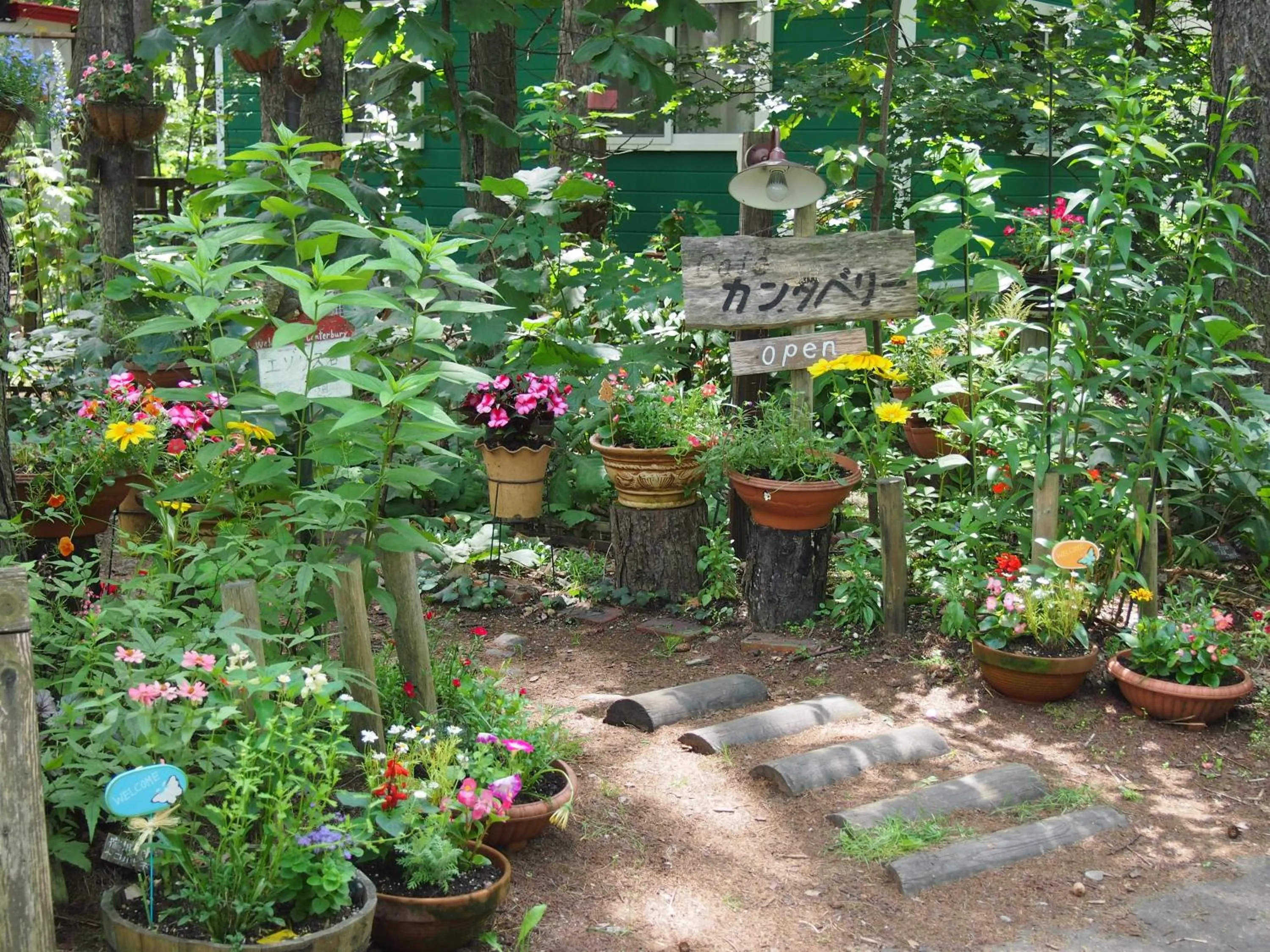 Garden in Guesthouse Canterbury