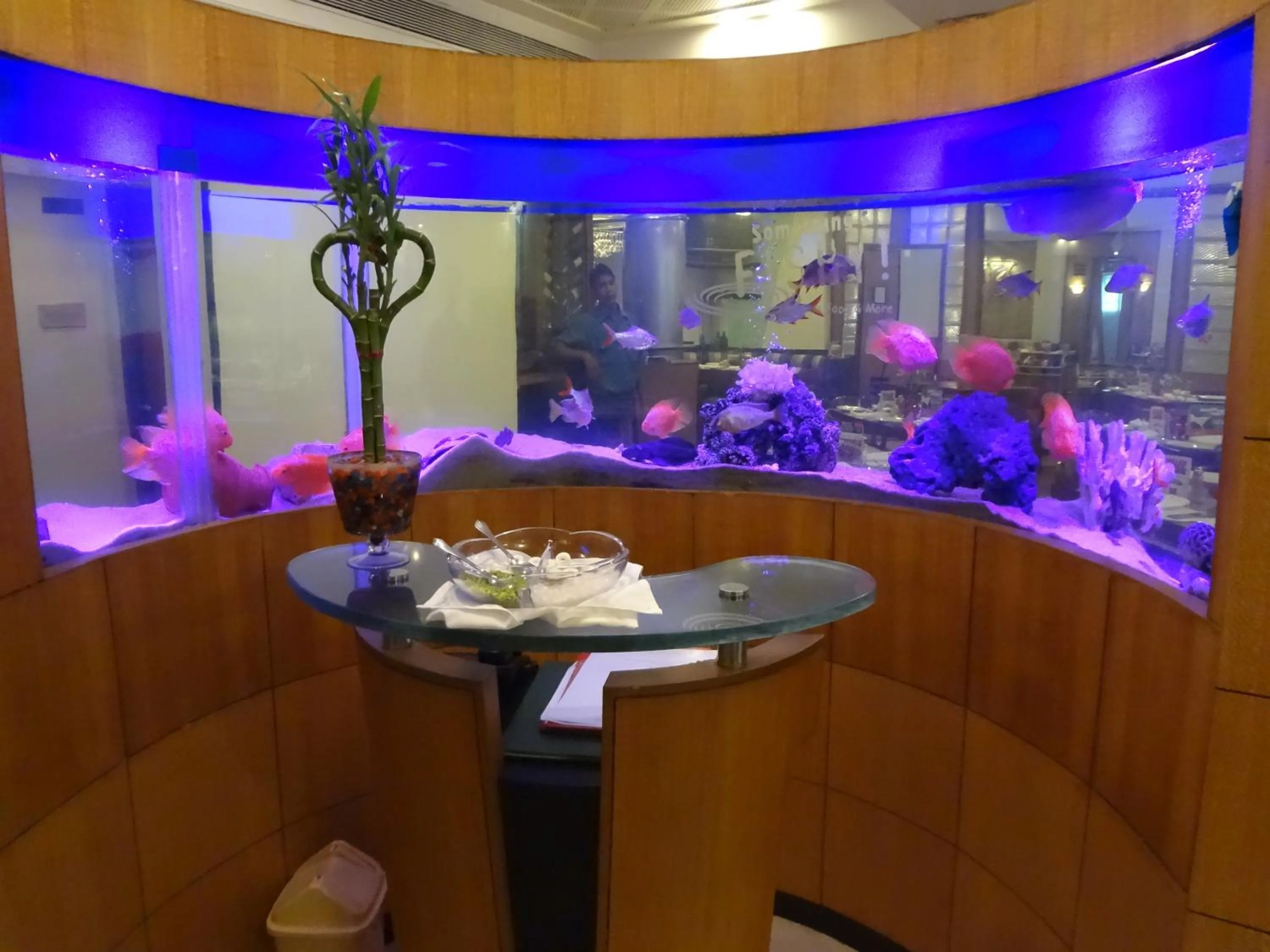 Area and facilities in Tunga International Hotel