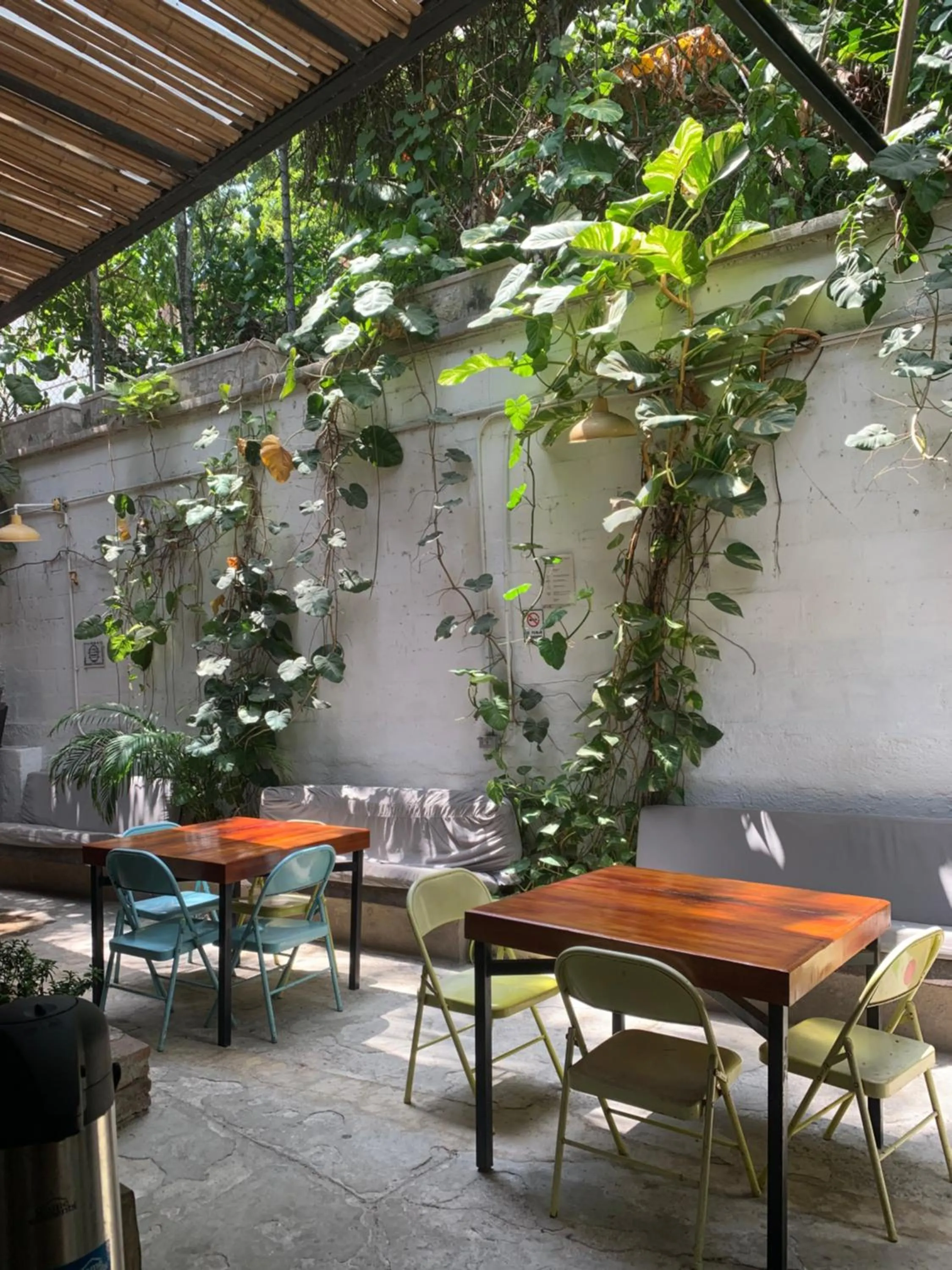 Garden view in Santuario Getsemani Hostel