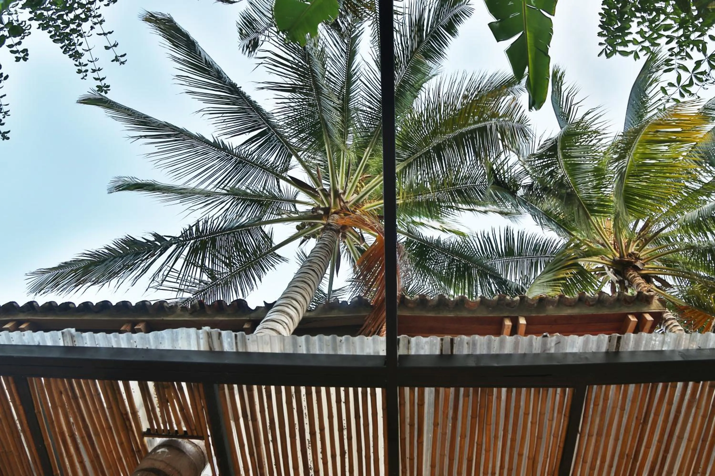 Garden in Santuario Getsemani Hostel