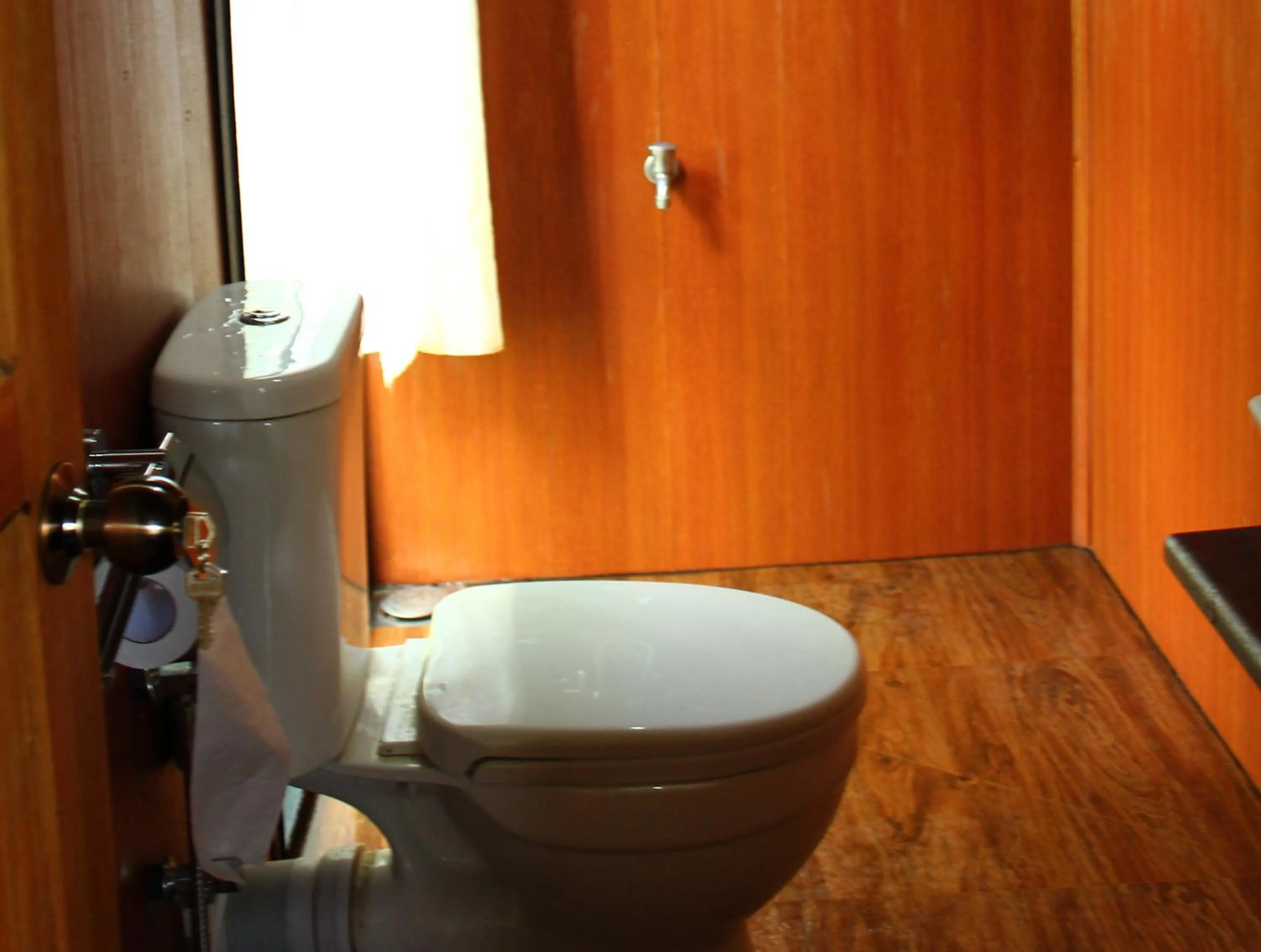 Bathroom in The Thick Forest