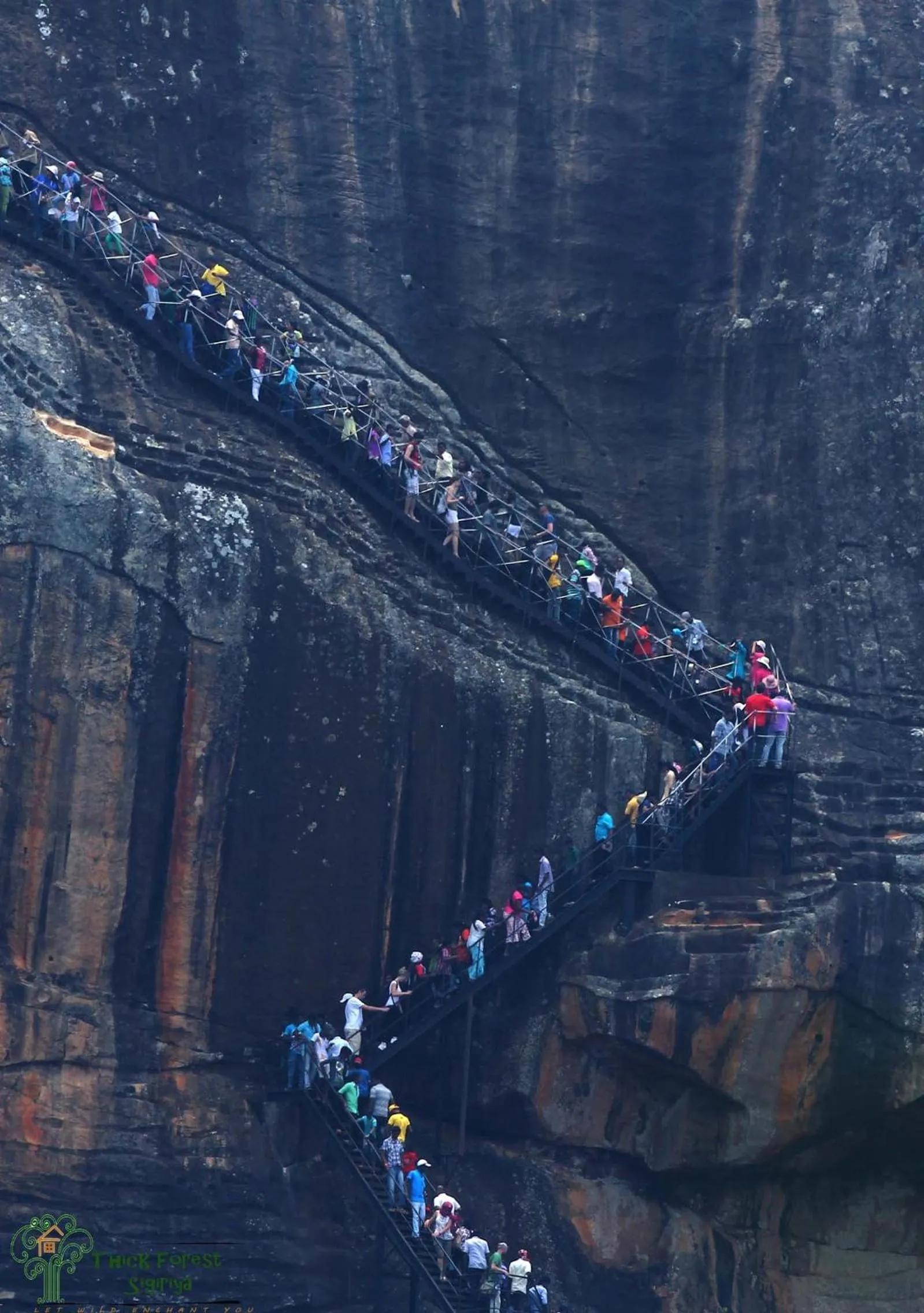 Nearby landmark in The Thick Forest