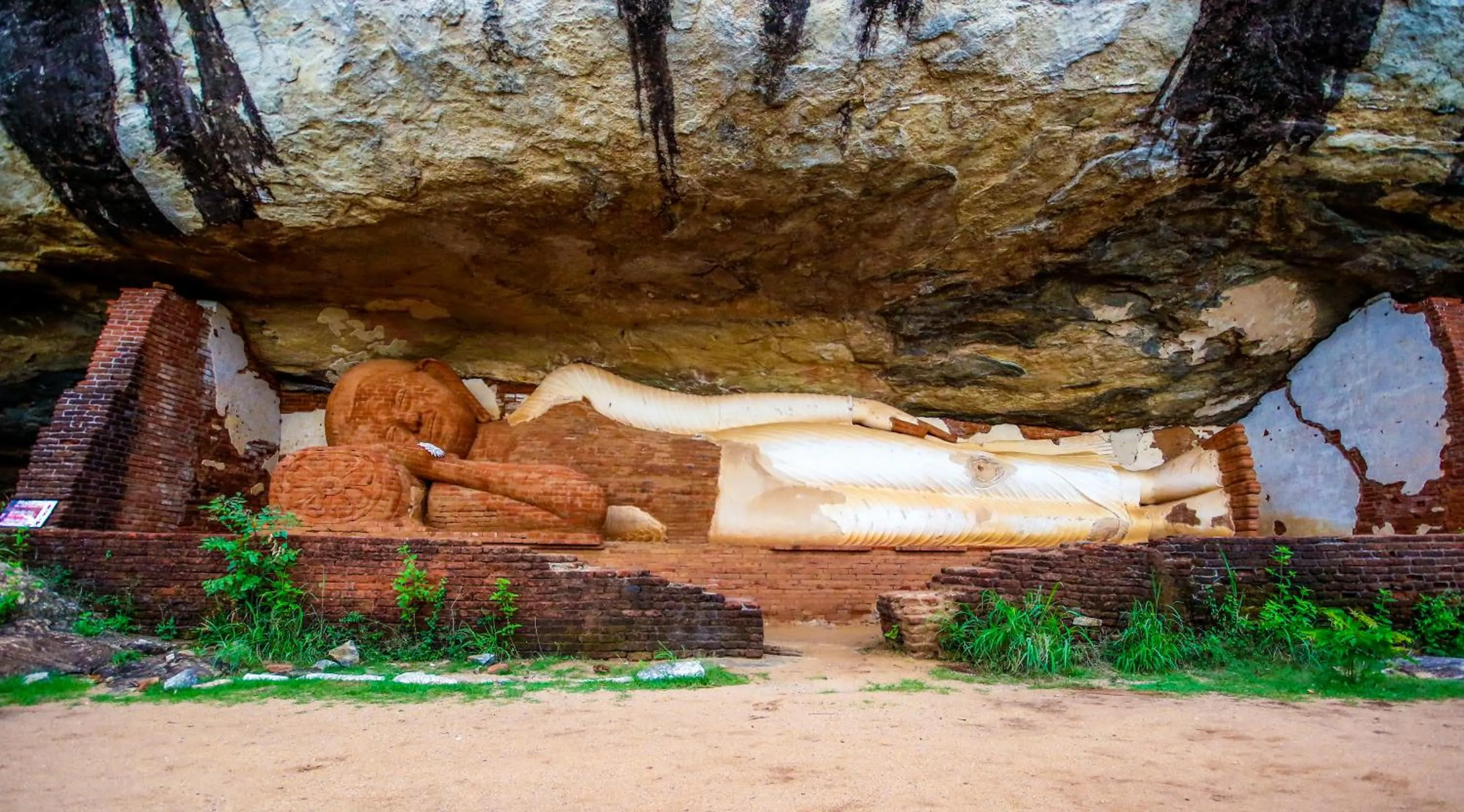 Hiking in The Thick Forest