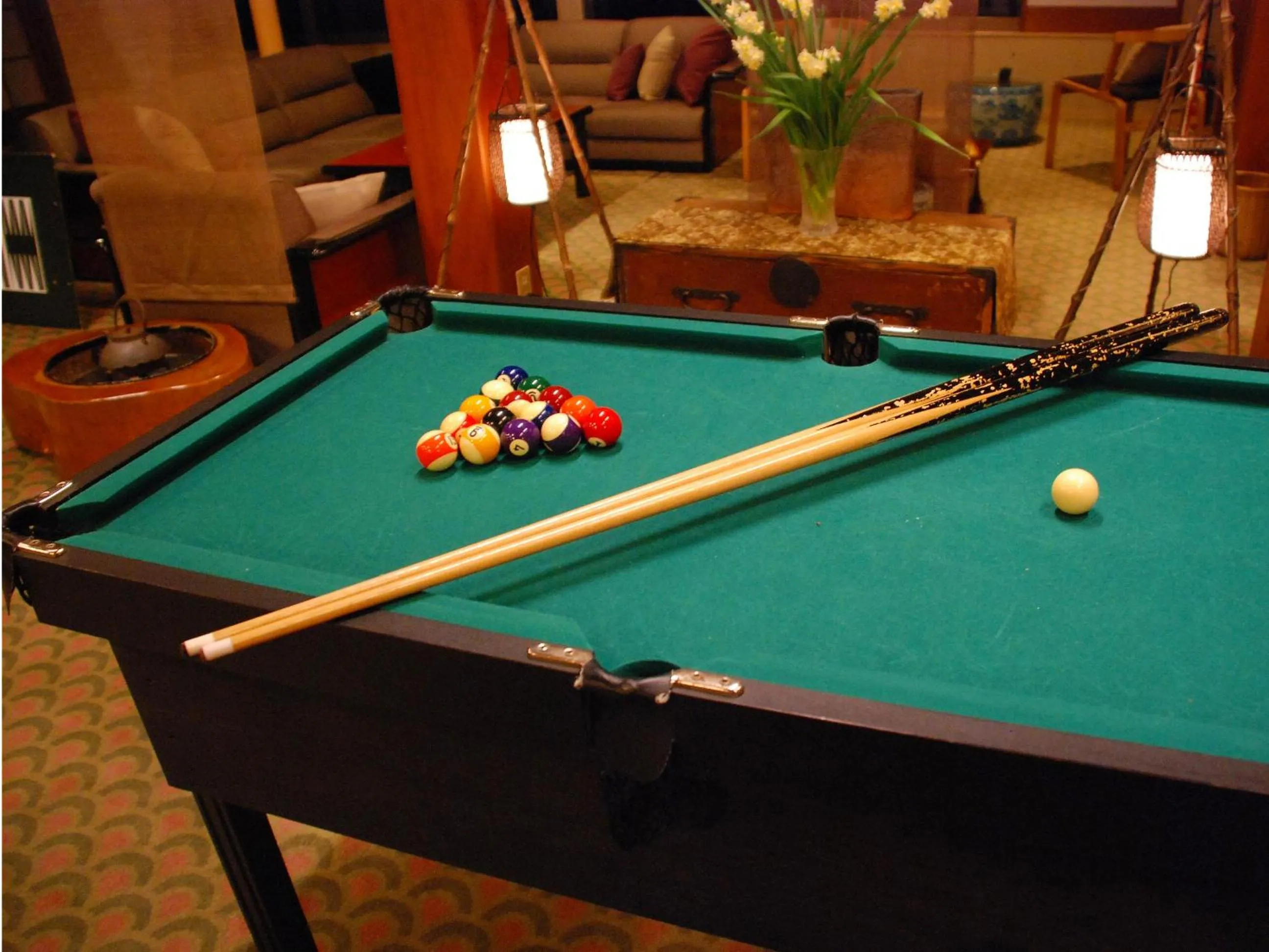 Billiard in Sakaya Ryokan Yoshina Onsen