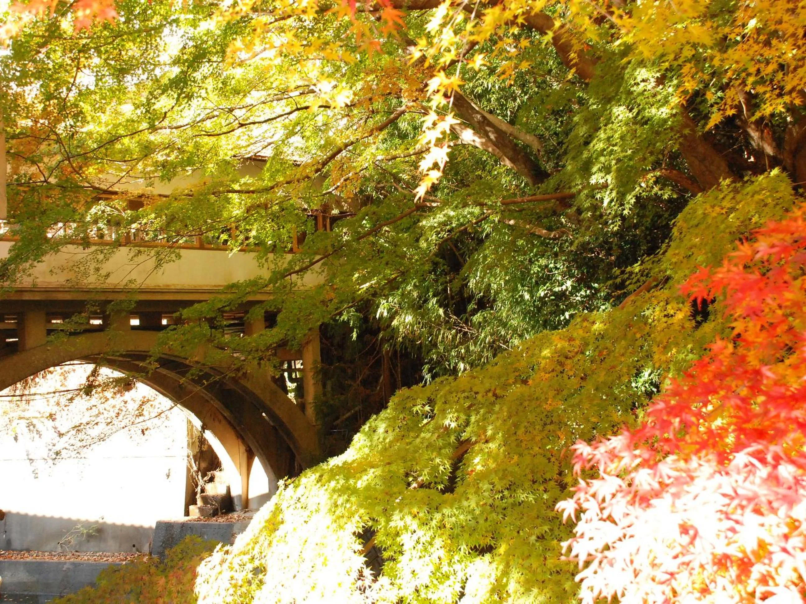 Property building in Sakaya Ryokan Yoshina Onsen