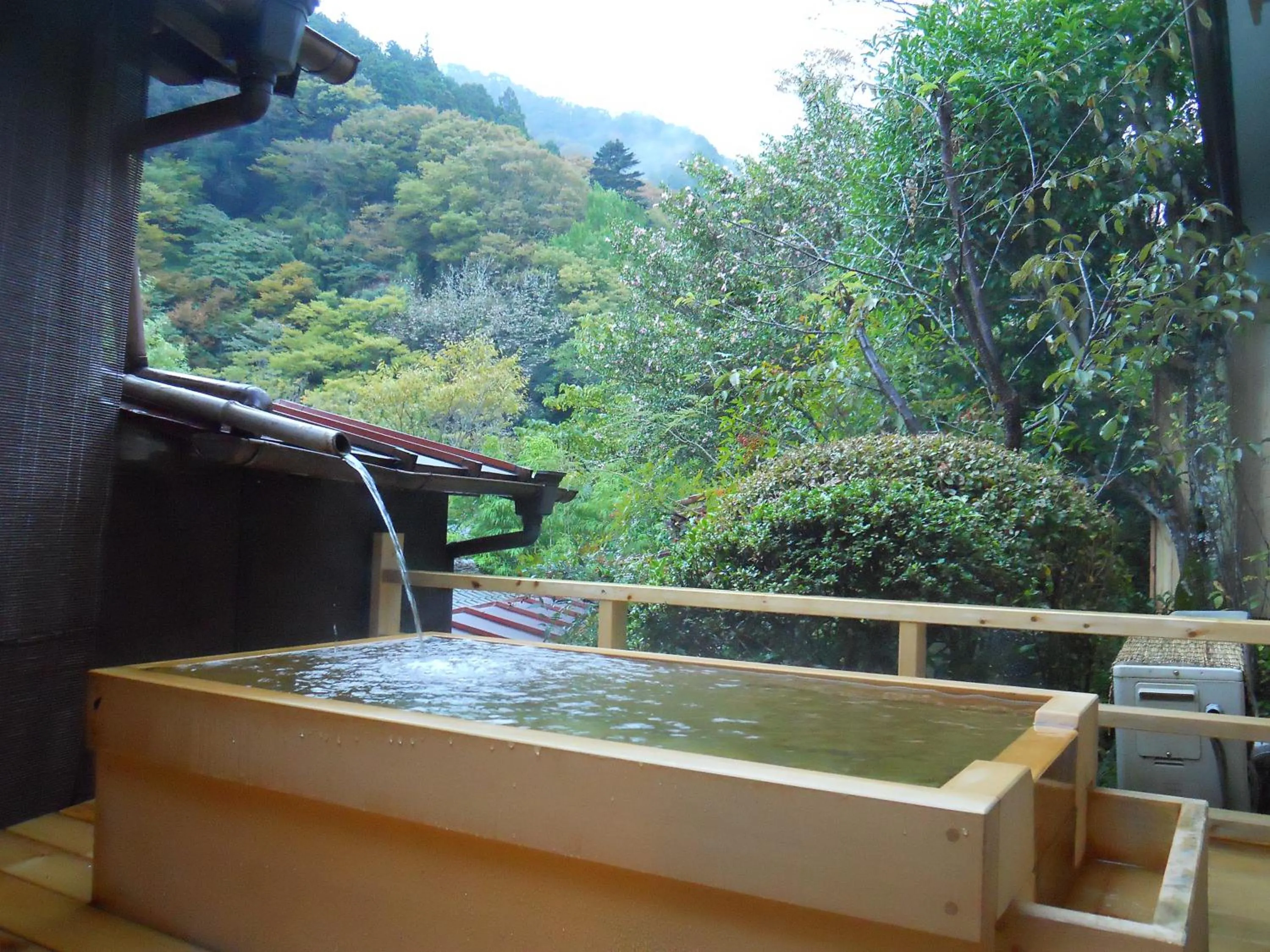Hot Spring Bath in Sakaya Ryokan Yoshina Onsen