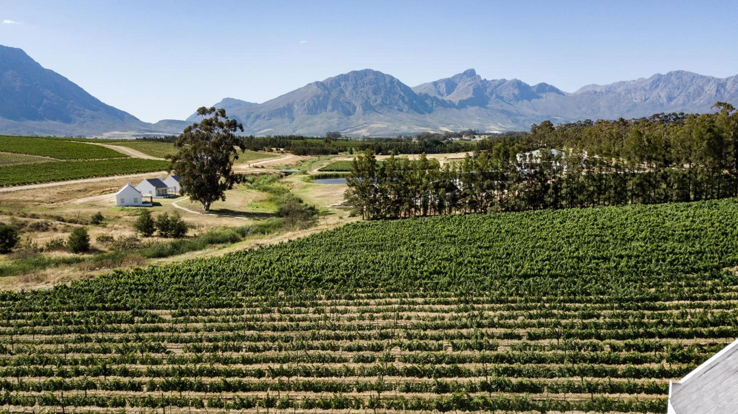 Natural landscape in Manley Wine Estate
