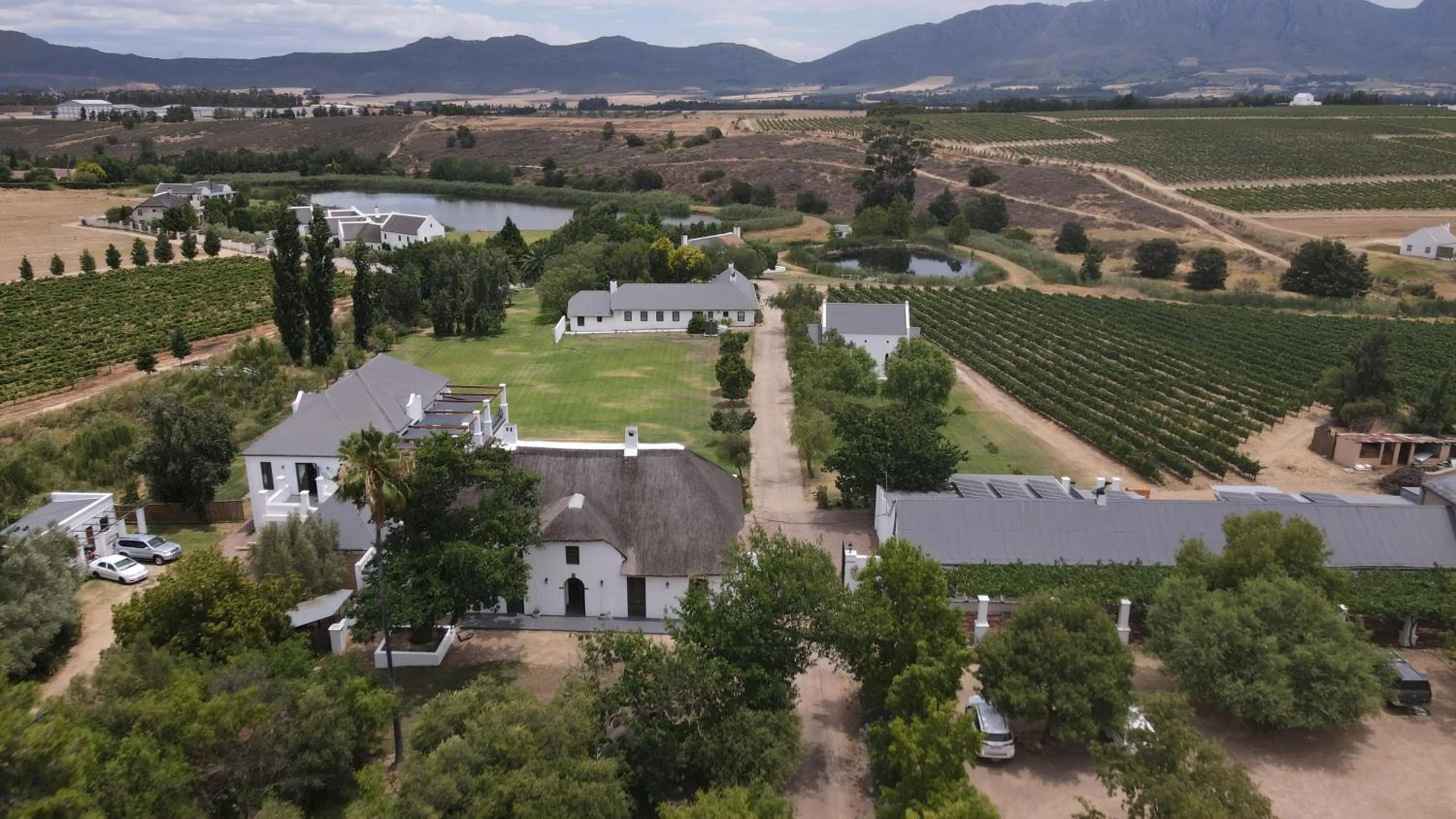 View (from property/room) in Manley Wine Estate