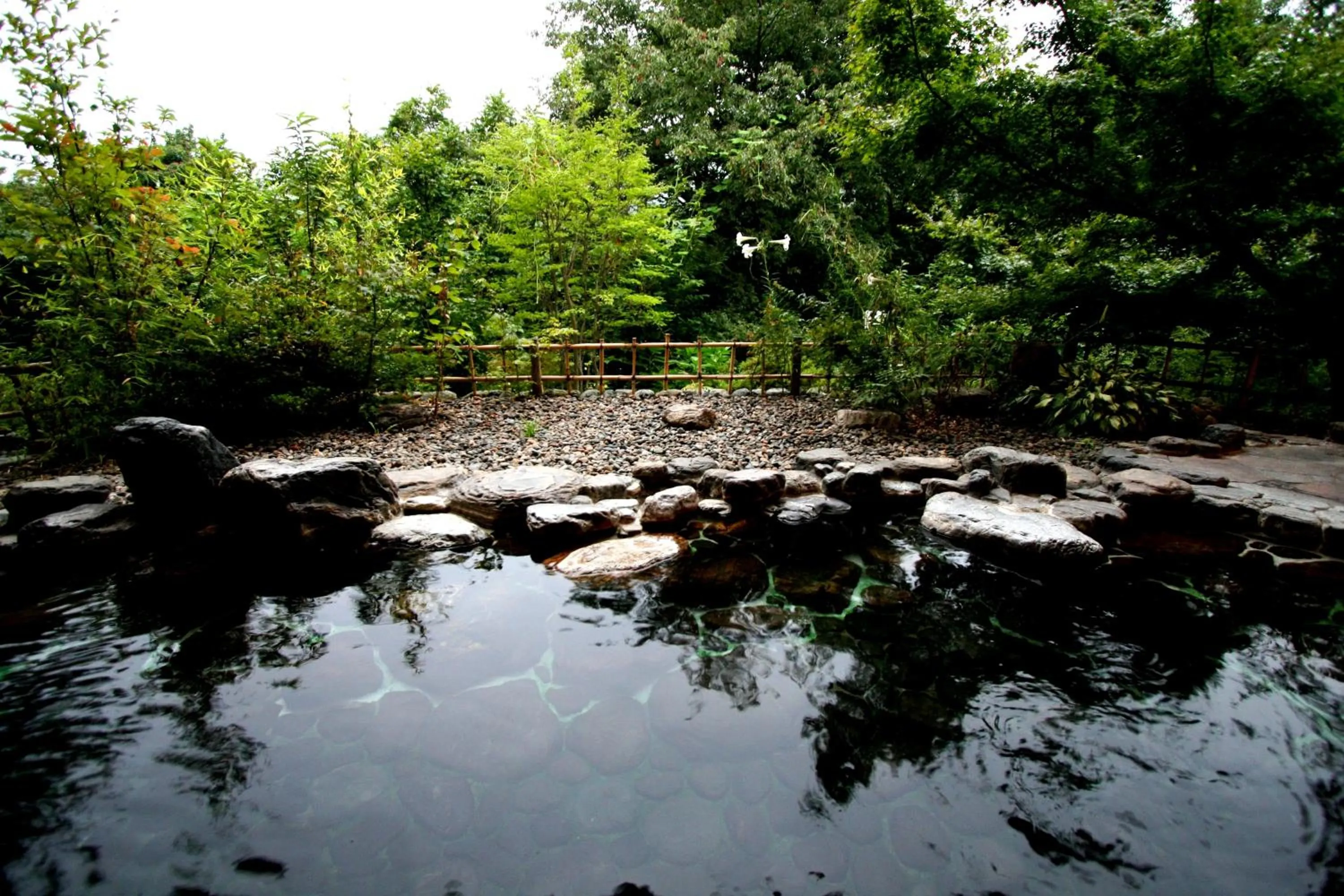 Hot Spring Bath in Senkyo