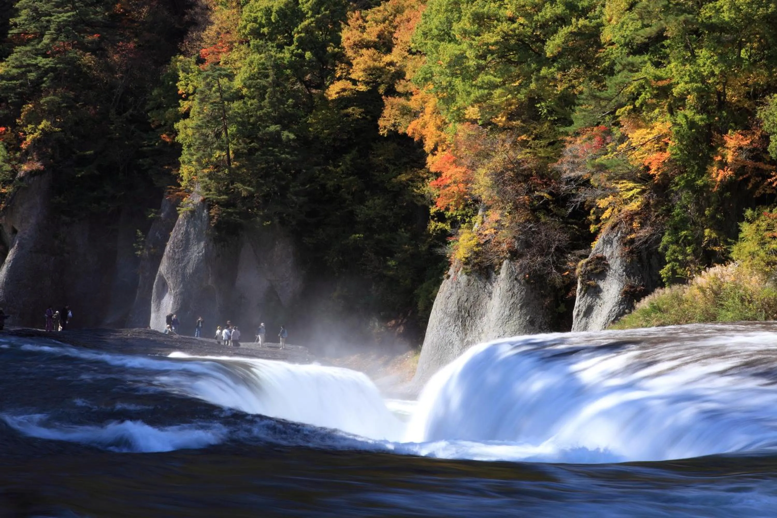 Area and facilities in Senkyo