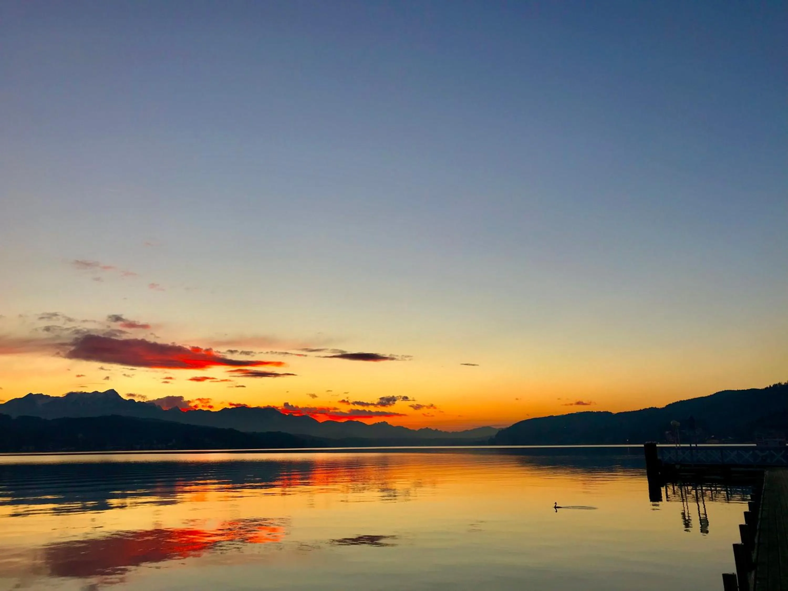 Balcony/Terrace in Villa Auguste