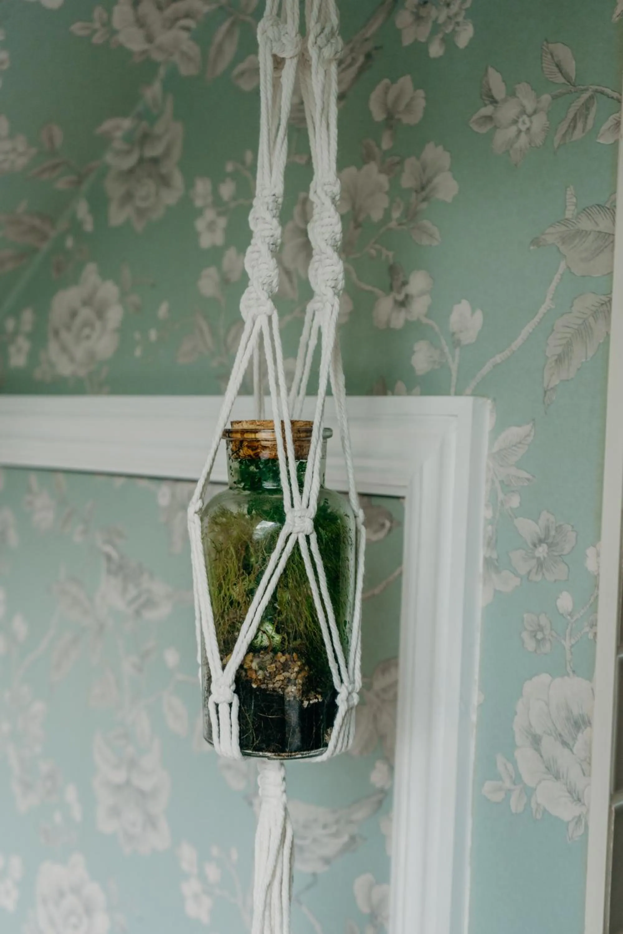 Decorative detail in Lydford House