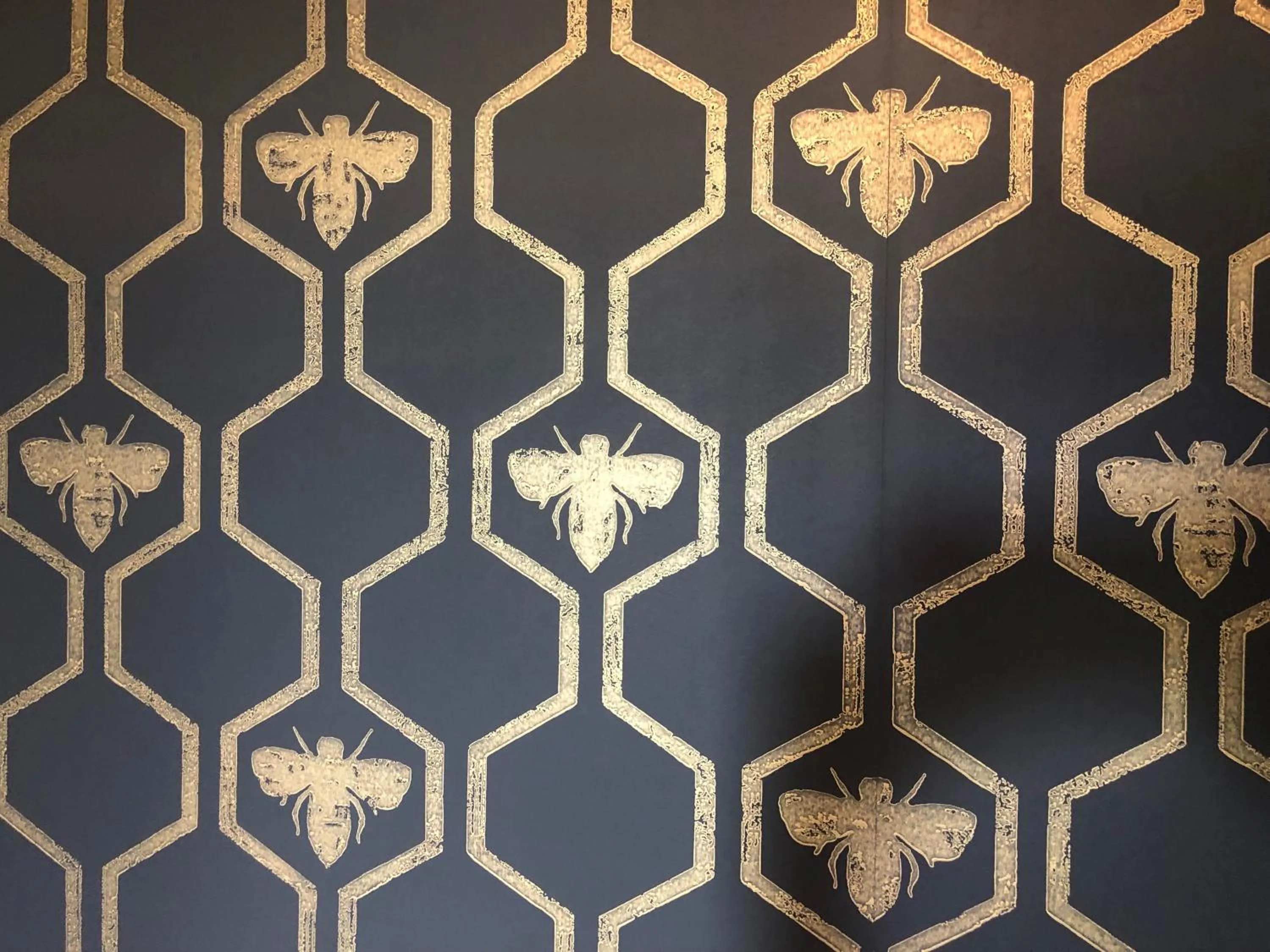 Decorative detail in Lydford House