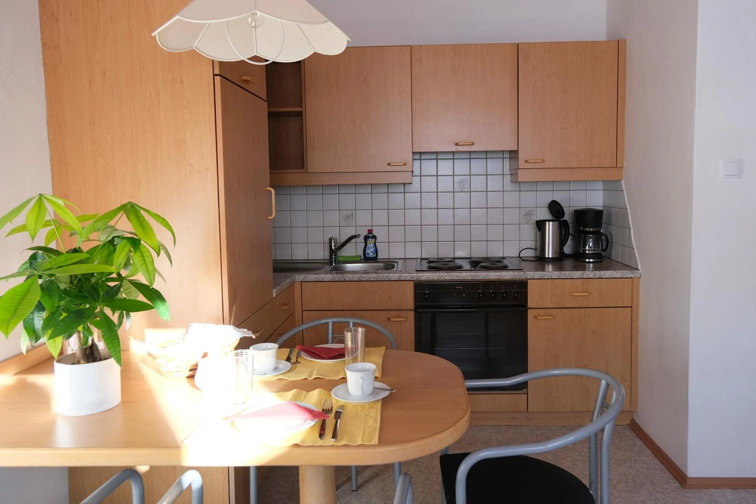 Apartment with Mountain View - single occupancy in Ferienwohnungen Berger