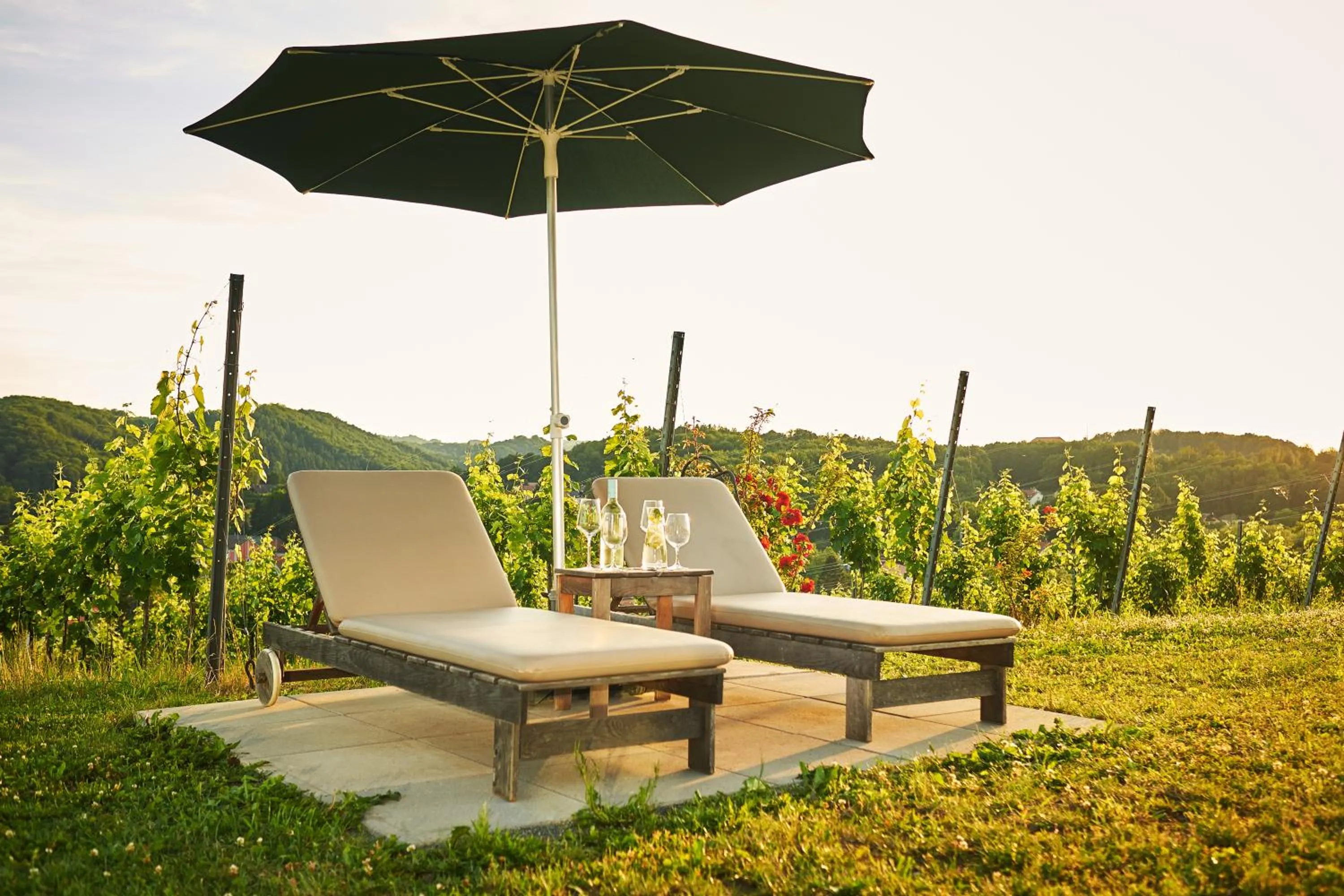 Garden in LOISIUM Wine & Spa Hotel Südsteiermark