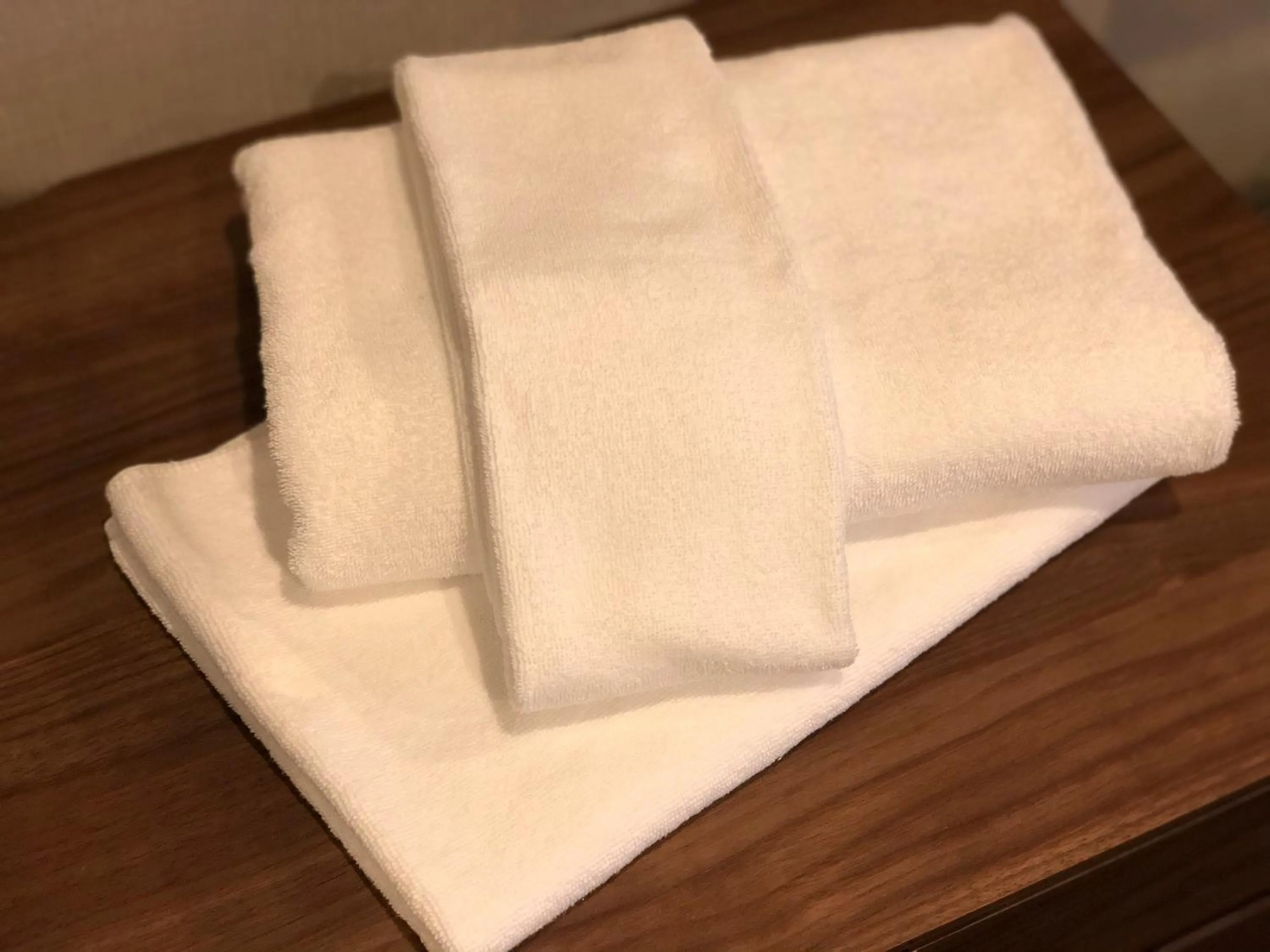 Osaka Riverside Hotel