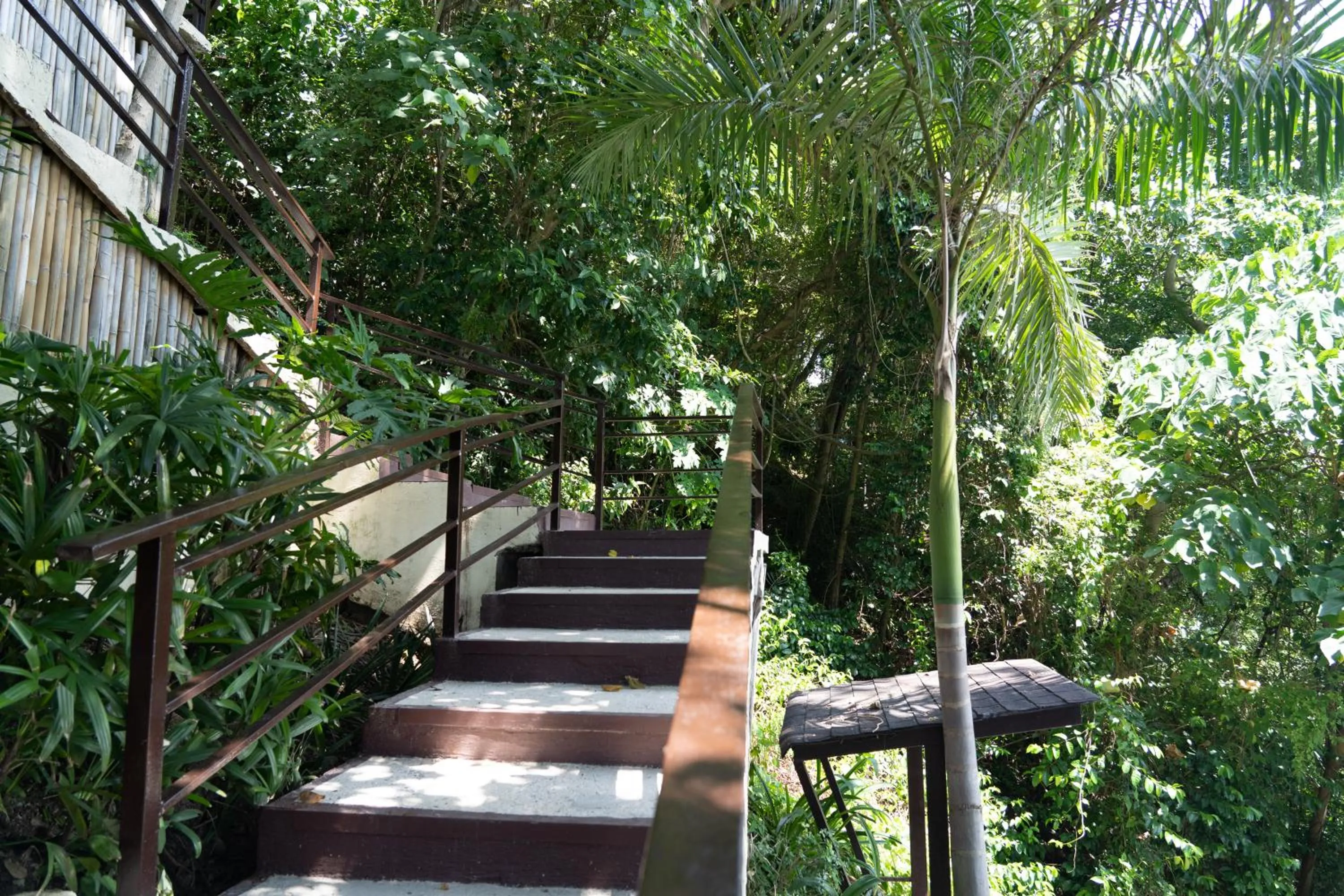 Area and facilities in Altamare Dive and Leisure Resort Anilao