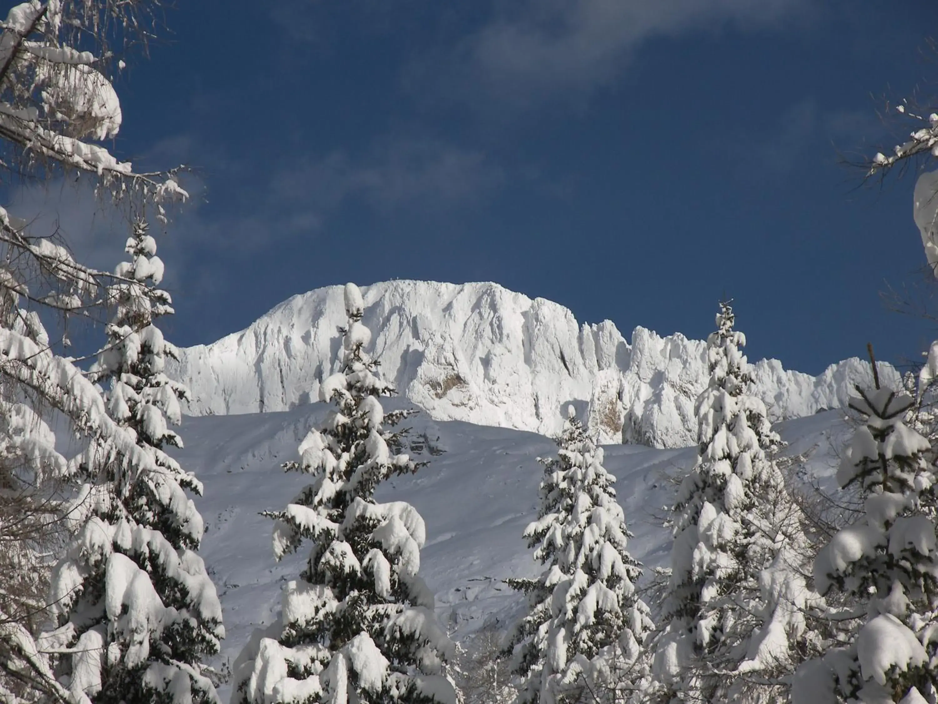 Hotel Albe Hotel Albe